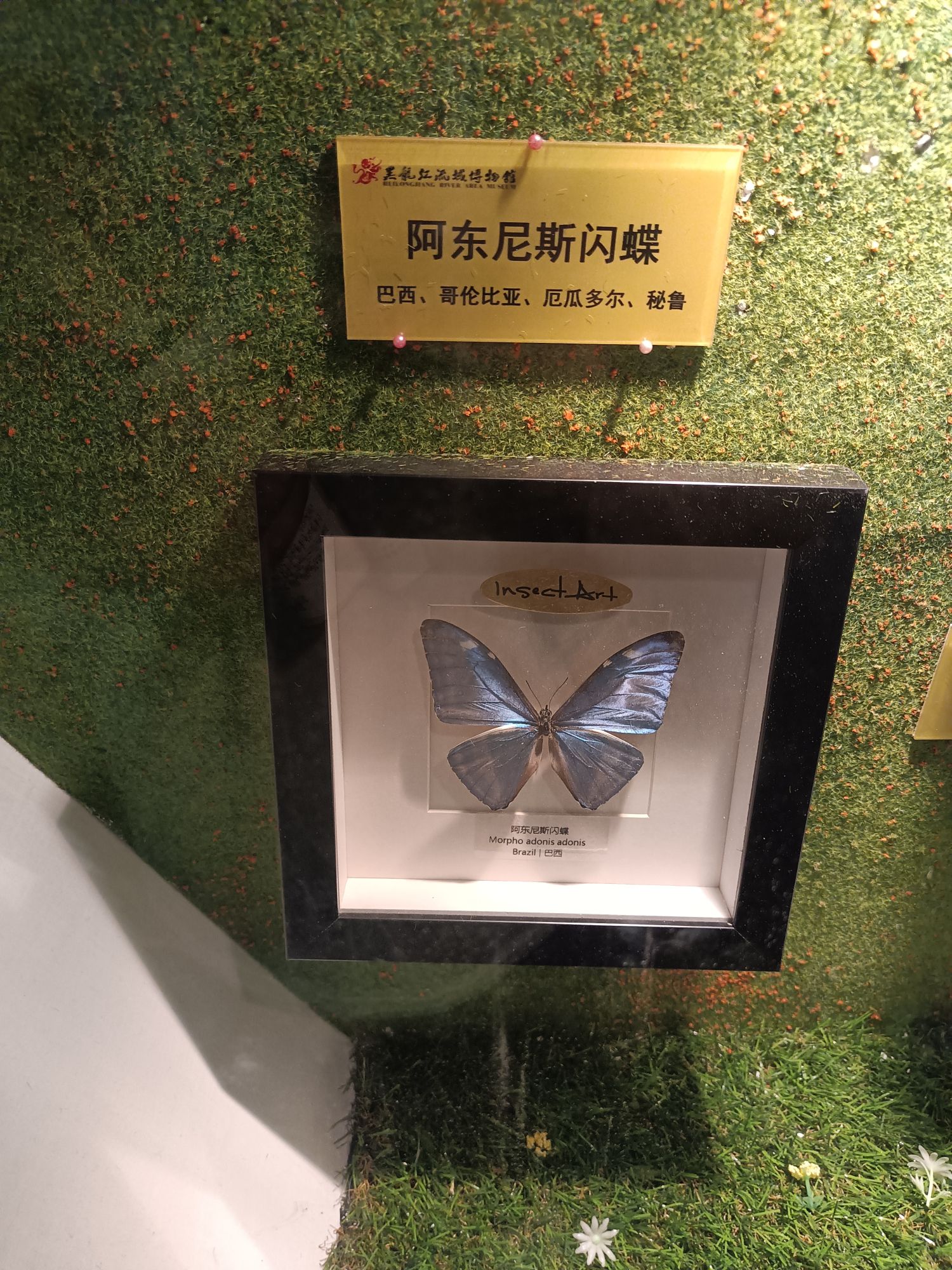 名山风景区旅行图片 2