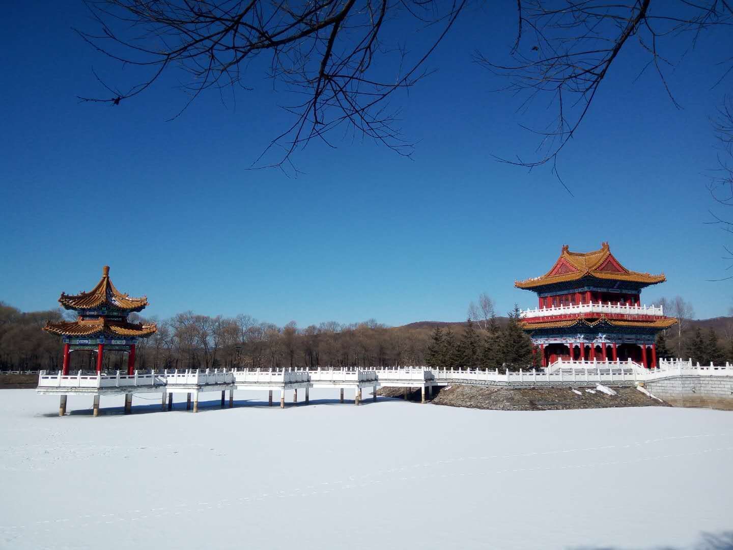 鹤北公园旅行图片 3