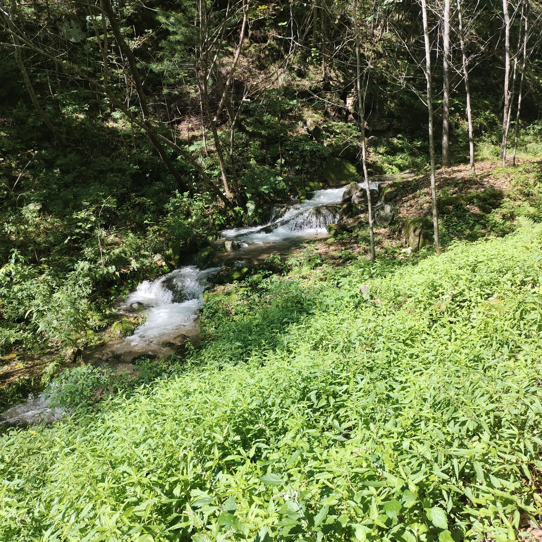 鹤岗金顶山地质公园(暂停开放)旅行图片 1