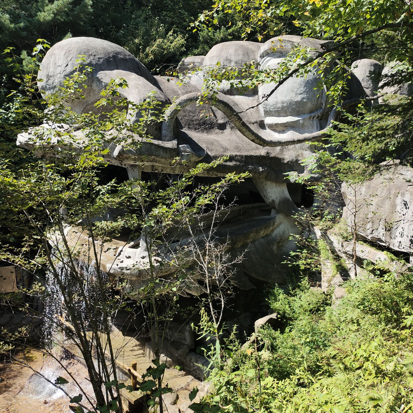 鹤岗金顶山地质公园(暂停开放)旅行图片 3