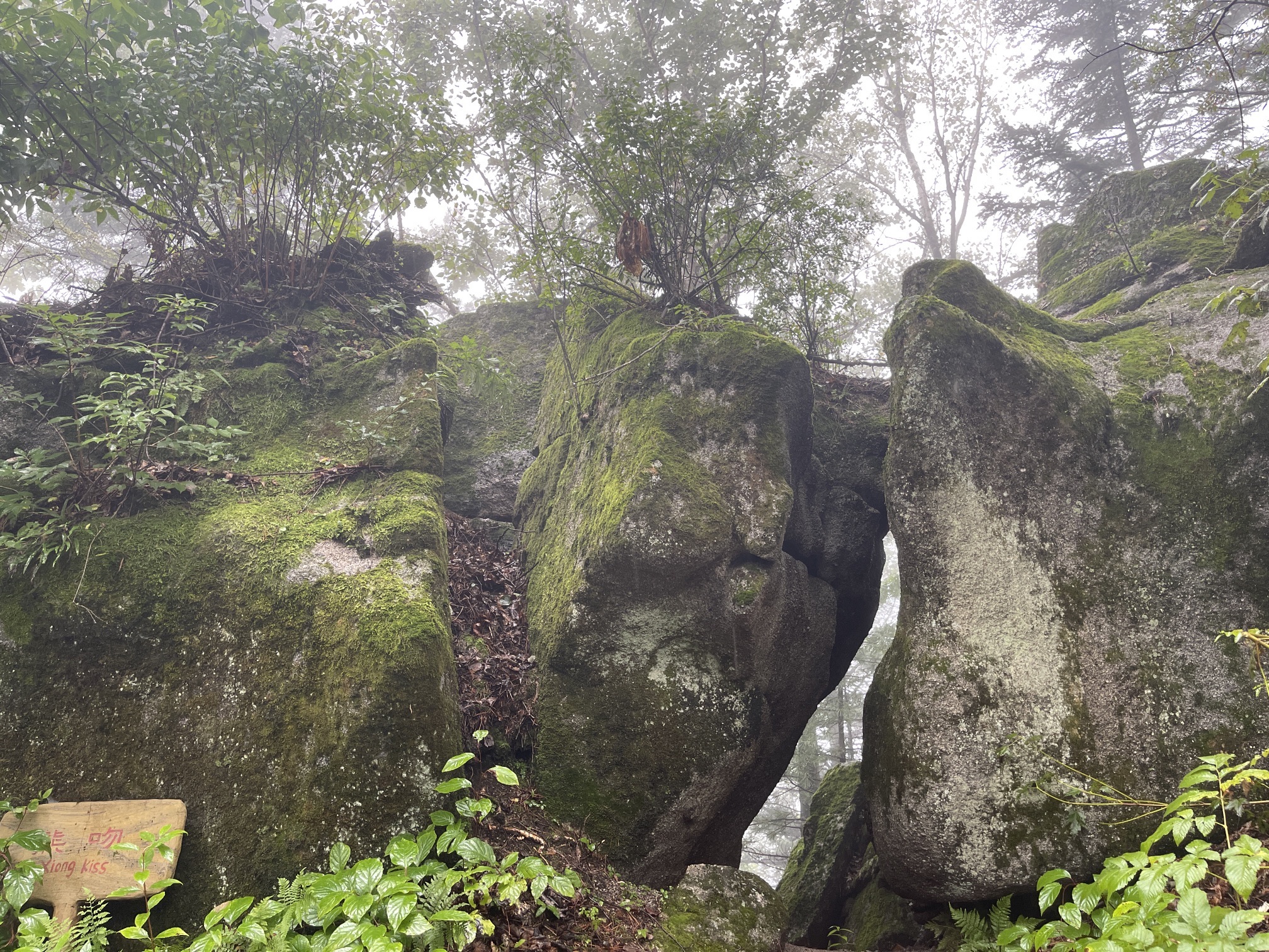 鹤岗金顶山地质公园(暂停开放)旅行图片 3