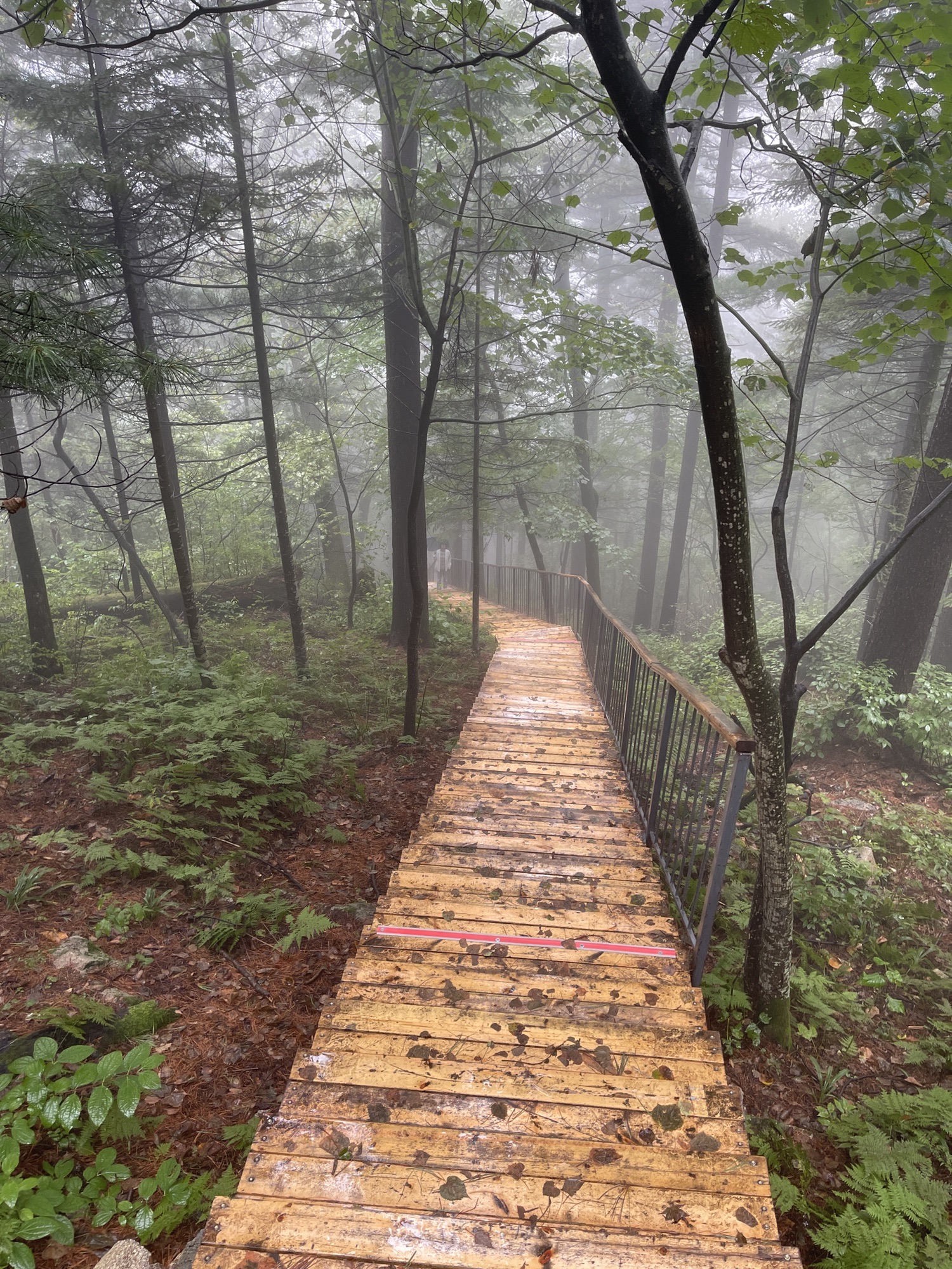 鹤岗金顶山地质公园(暂停开放)旅行图片 1