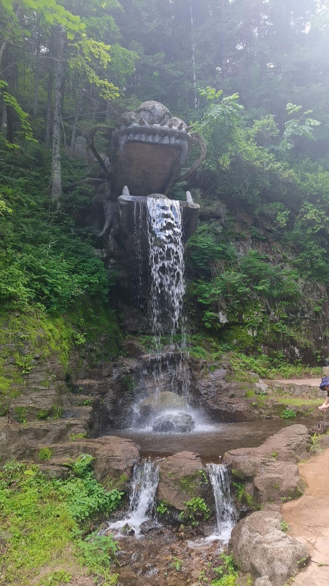 鹤岗金顶山地质公园(暂停开放)旅行图片 3