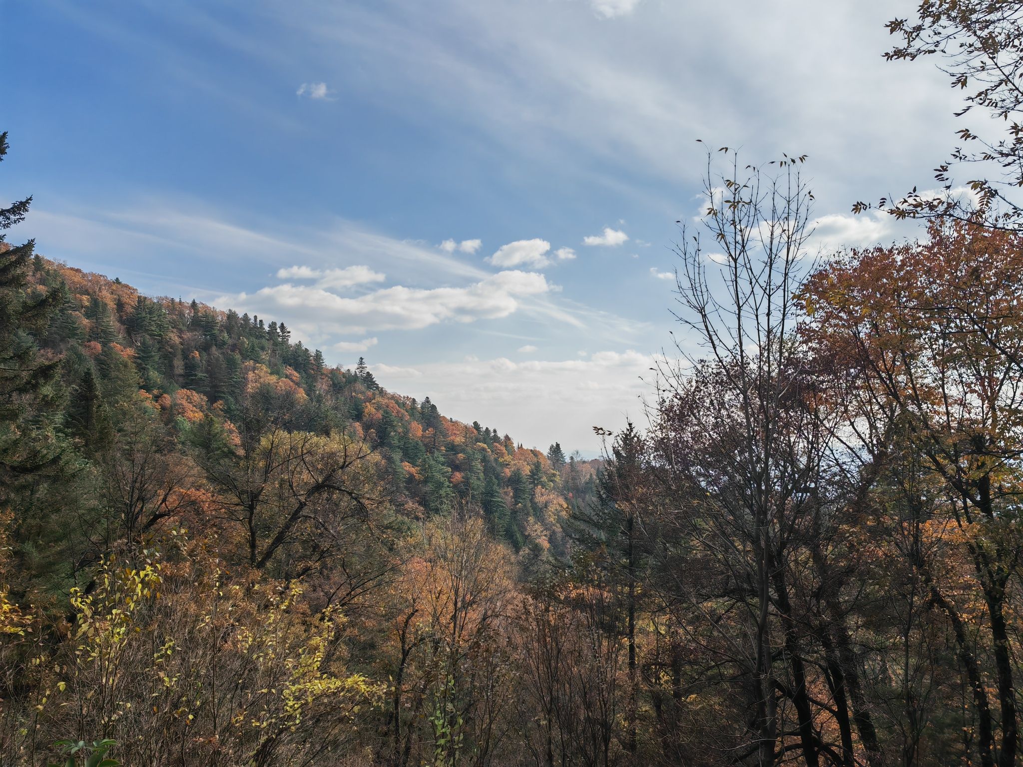 鹤岗金顶山地质公园(暂停开放)旅行图片 3