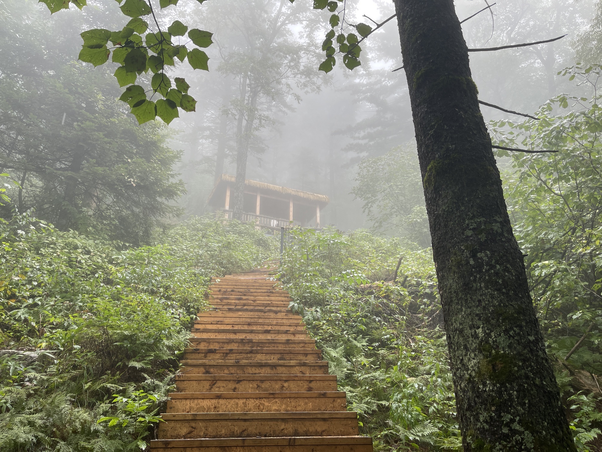 鹤岗金顶山地质公园(暂停开放)旅行图片 2