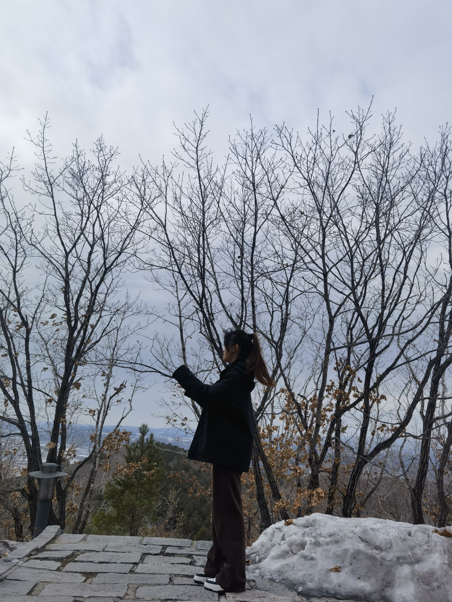 益寿山公园旅行图片 3