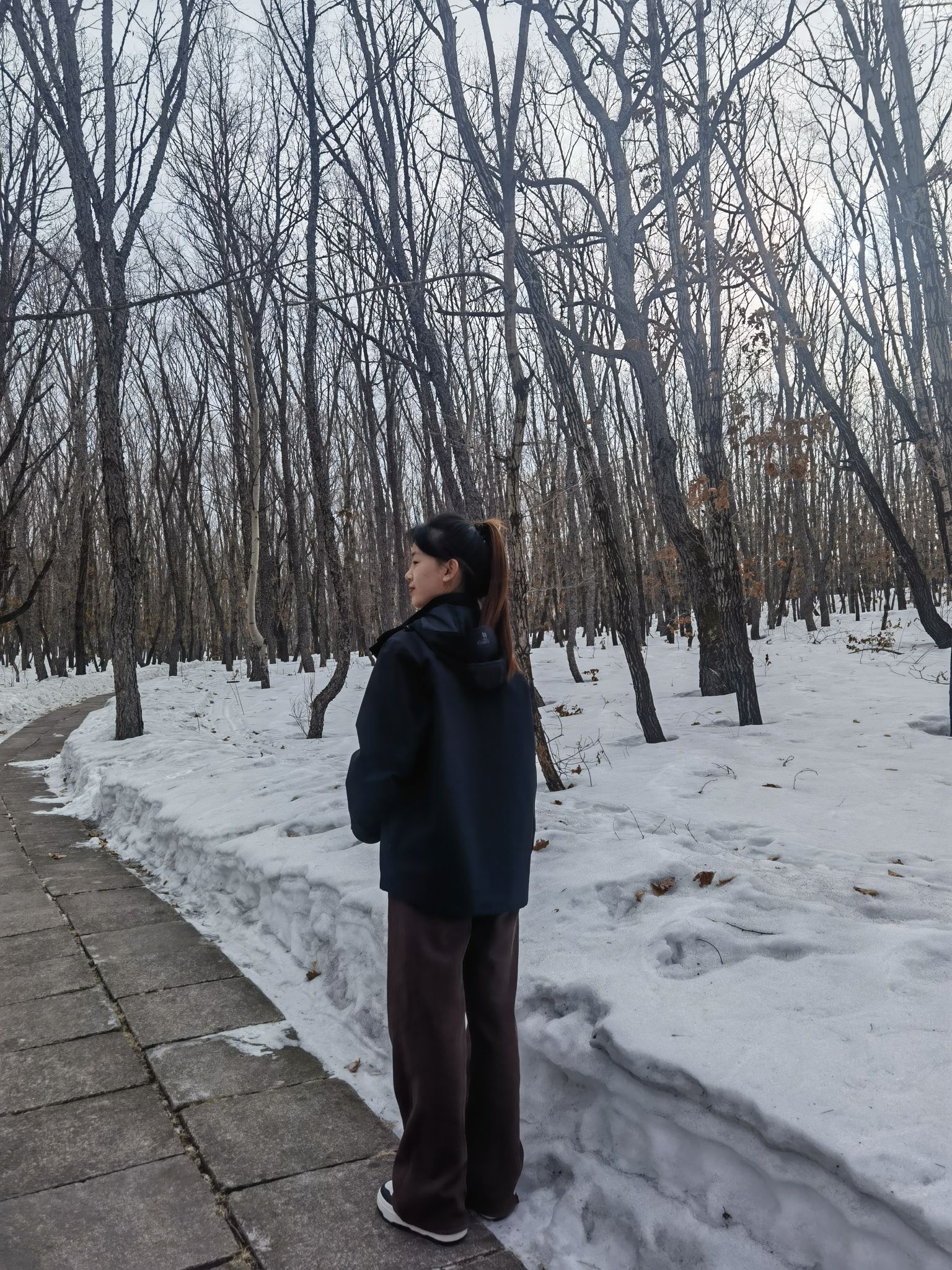 益寿山公园旅行图片 2
