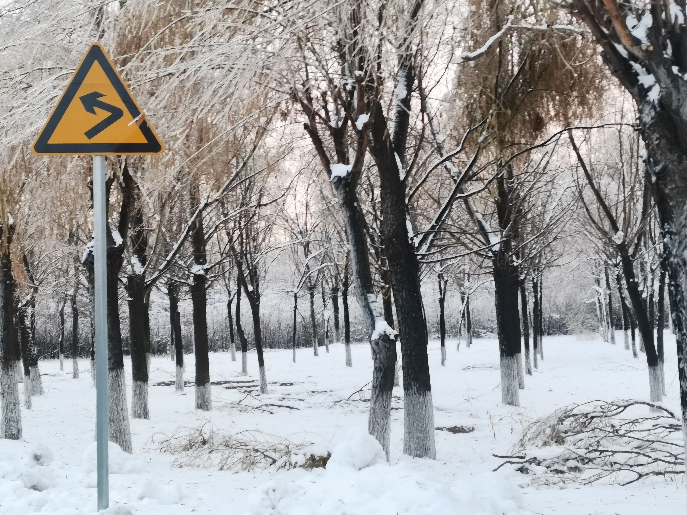 益寿山公园旅行图片 3
