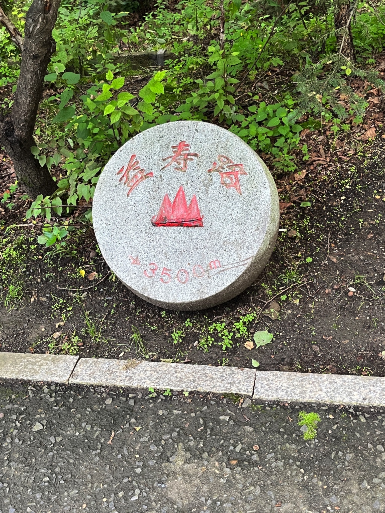 益寿山公园旅行图片 1