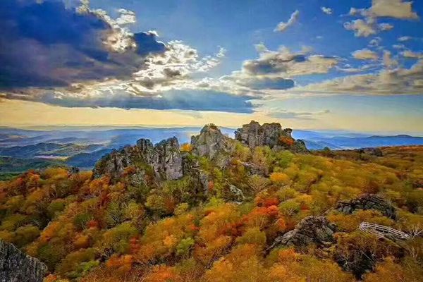益寿山公园旅行图片 1