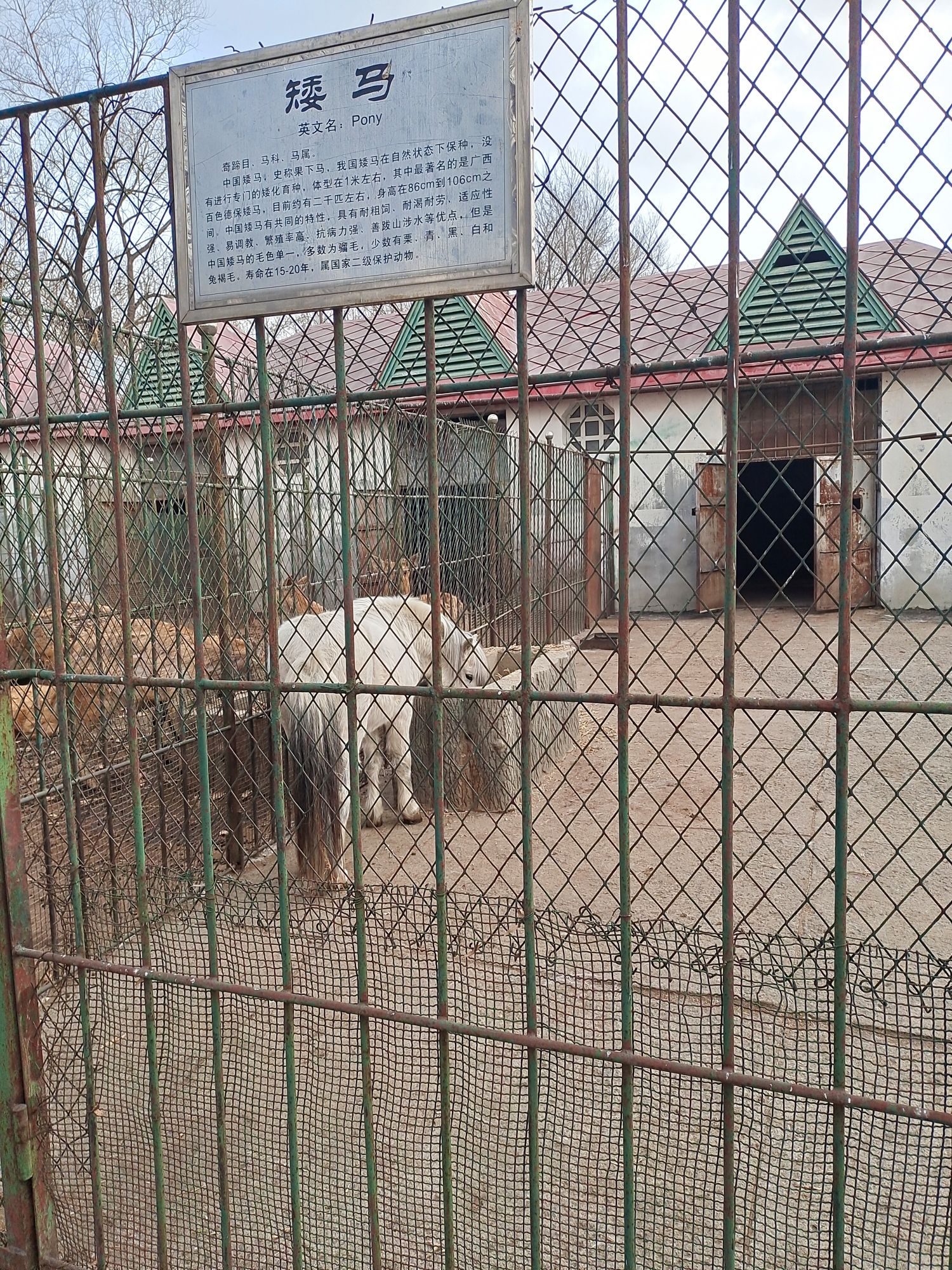 北秀公园旅行图片 2