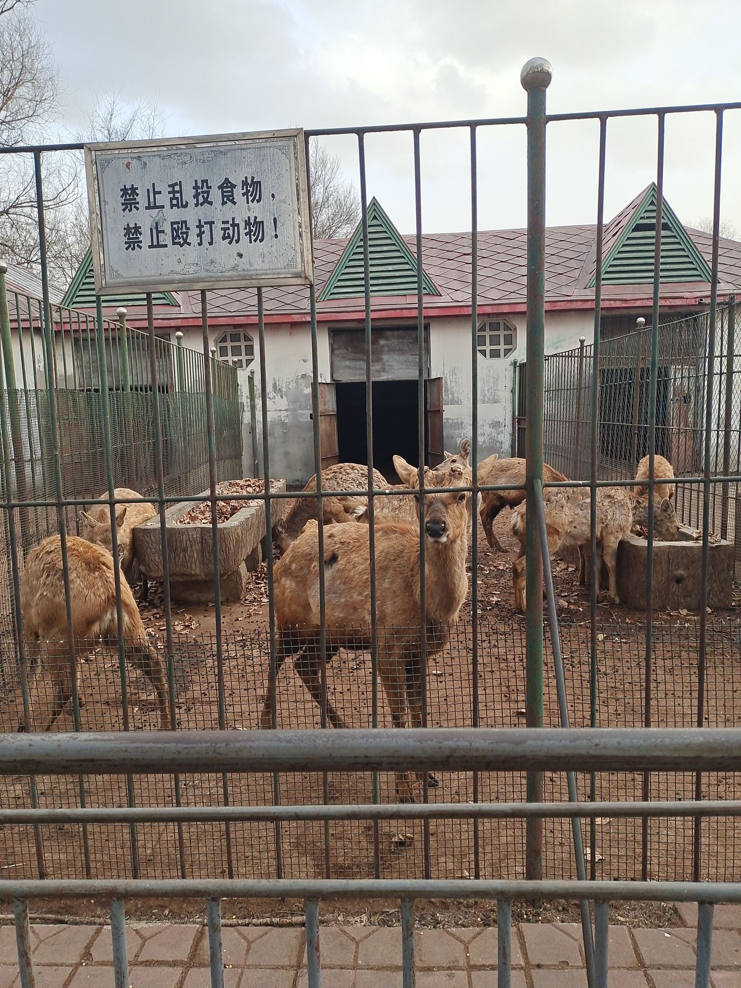 北秀公园旅行图片 1