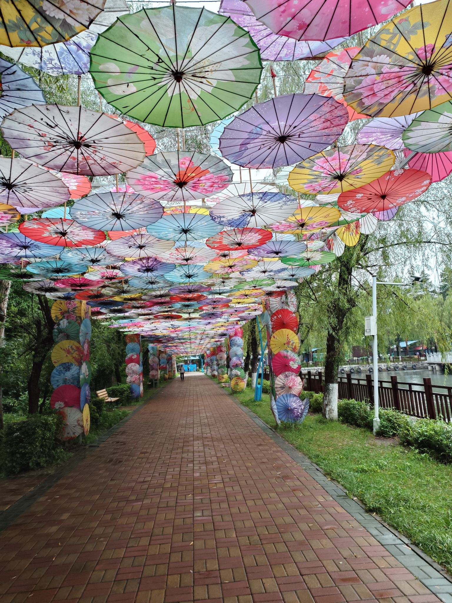 北秀公园旅行图片 1