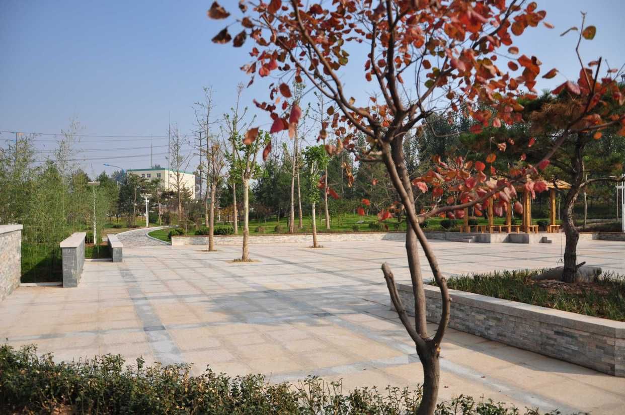 北秀公园旅行图片 2