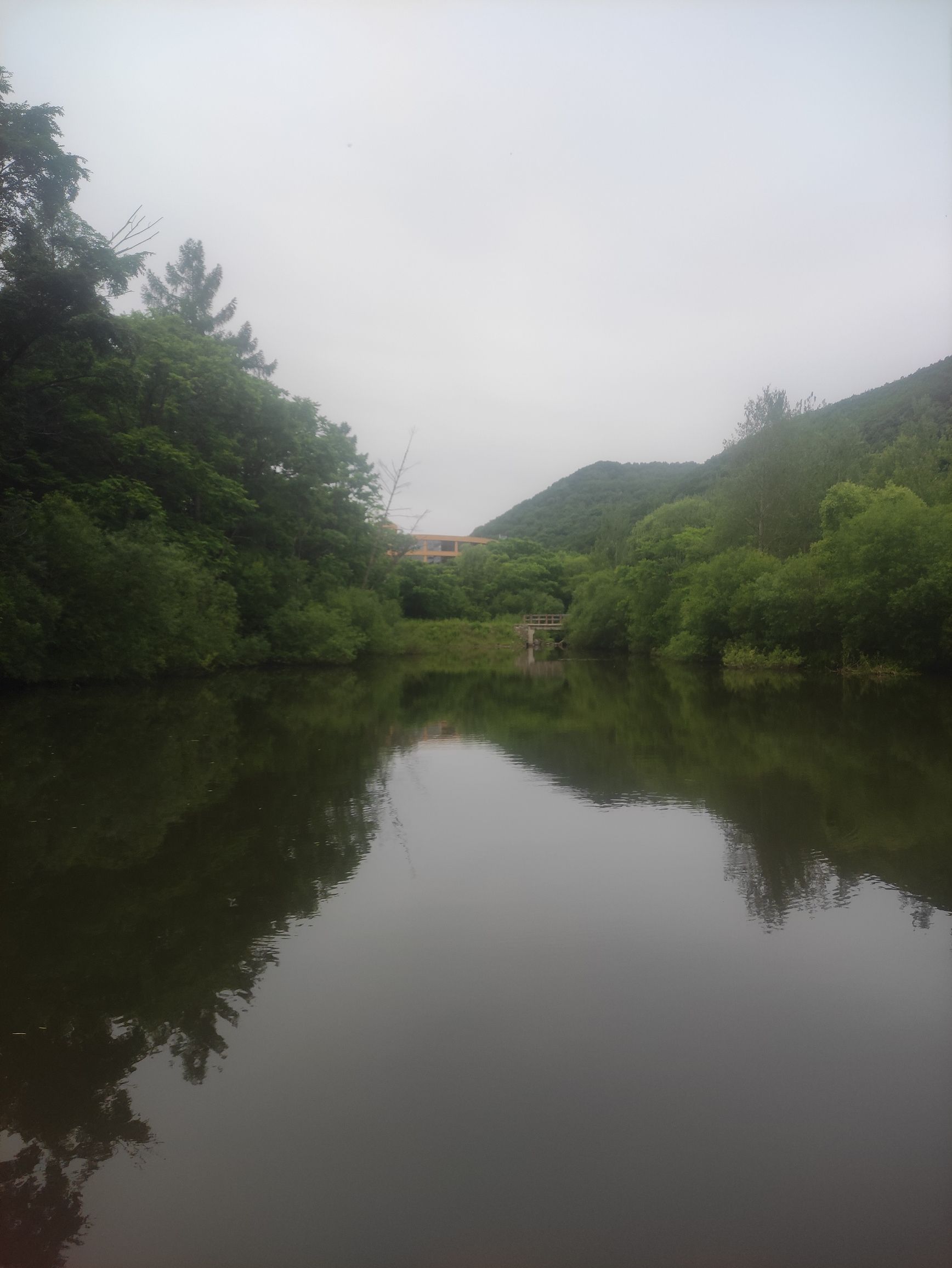 羊鼻山森林生态旅游区旅行图片 2