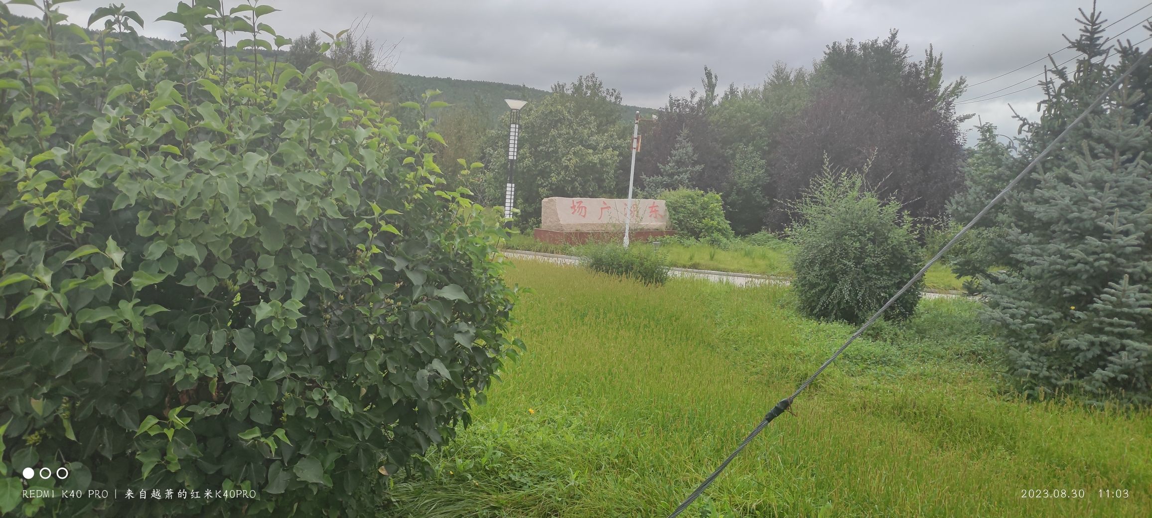 东湖公园旅行图片 2