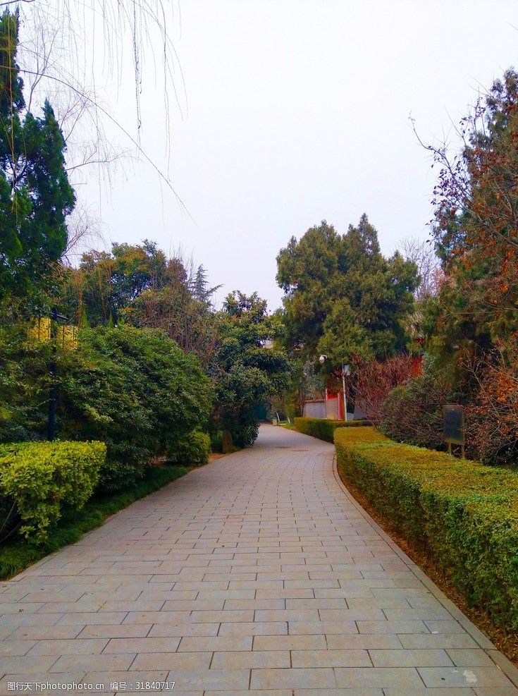 天府公园旅行图片 2