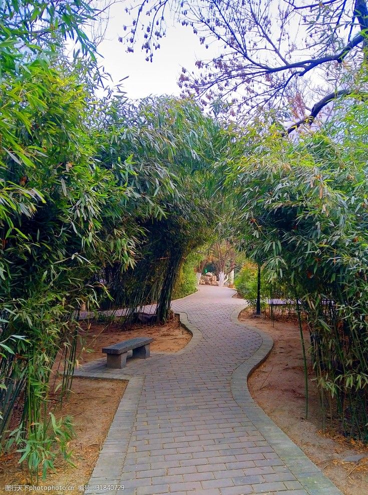 天府公园旅行图片 1