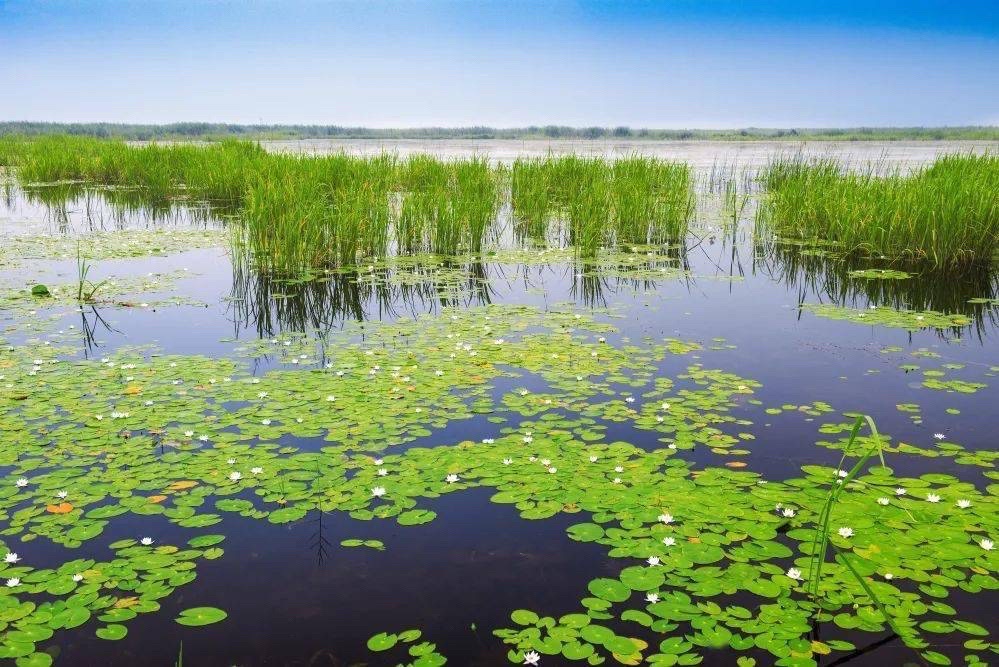 安邦河国家湿地公园(暂停开放)旅行图片 3
