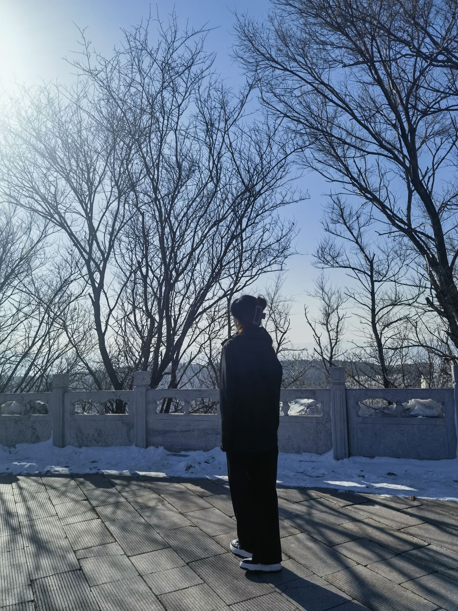 翠峰山公园旅行图片 1