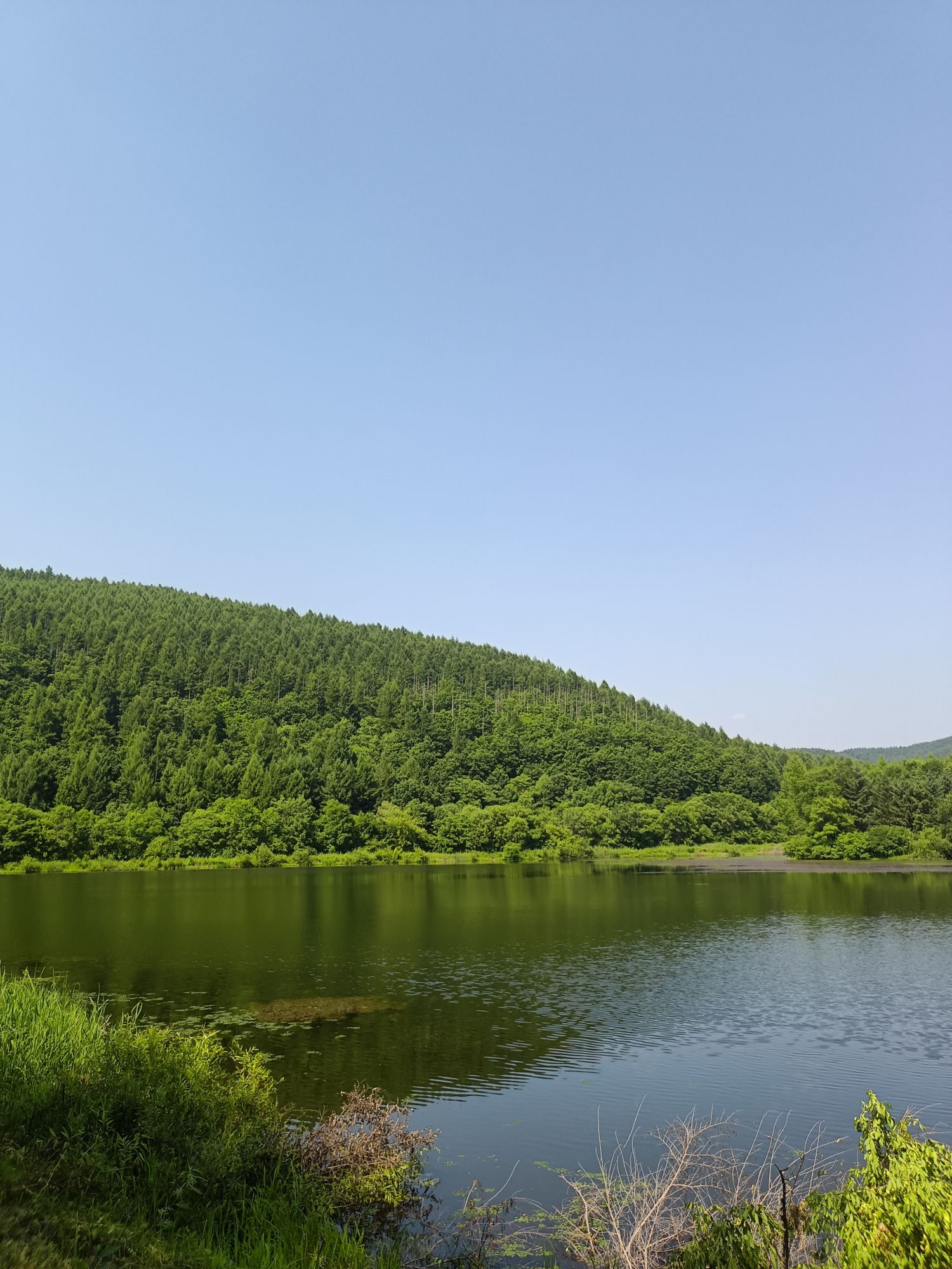 翠峰山公园