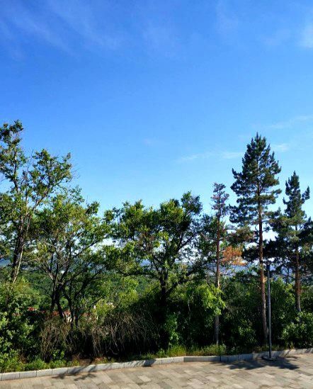 翠峰山公园旅行图片 3