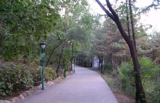 翠峰山公园旅行图片 3