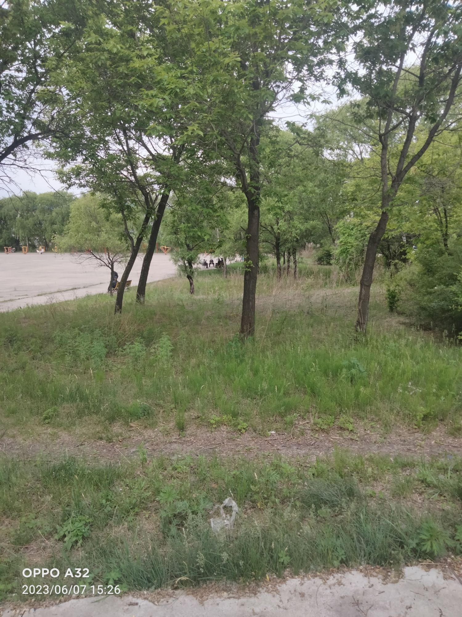 七星公园旅行图片 2