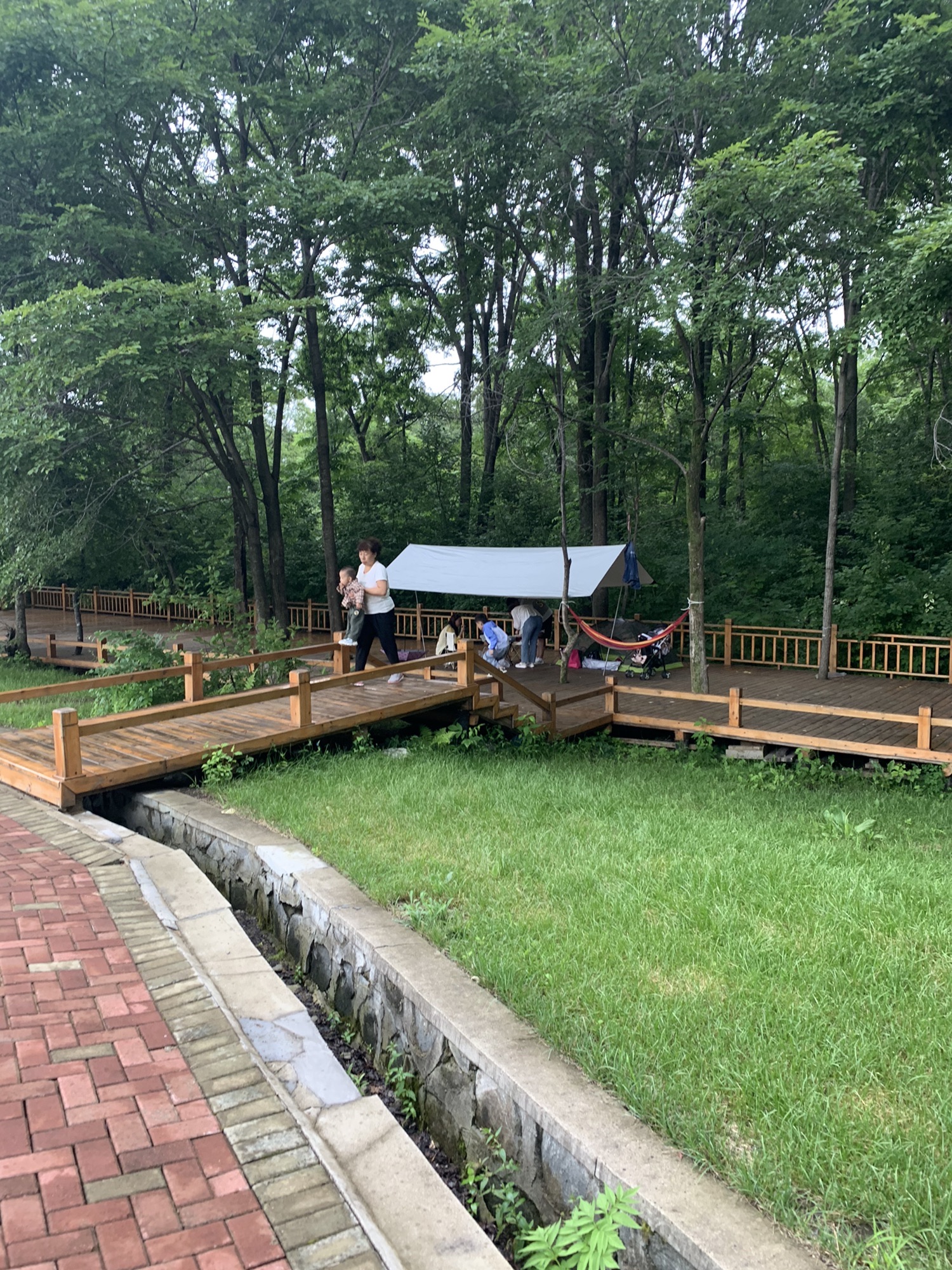 黑龙江青山国家森林公园旅行图片 1