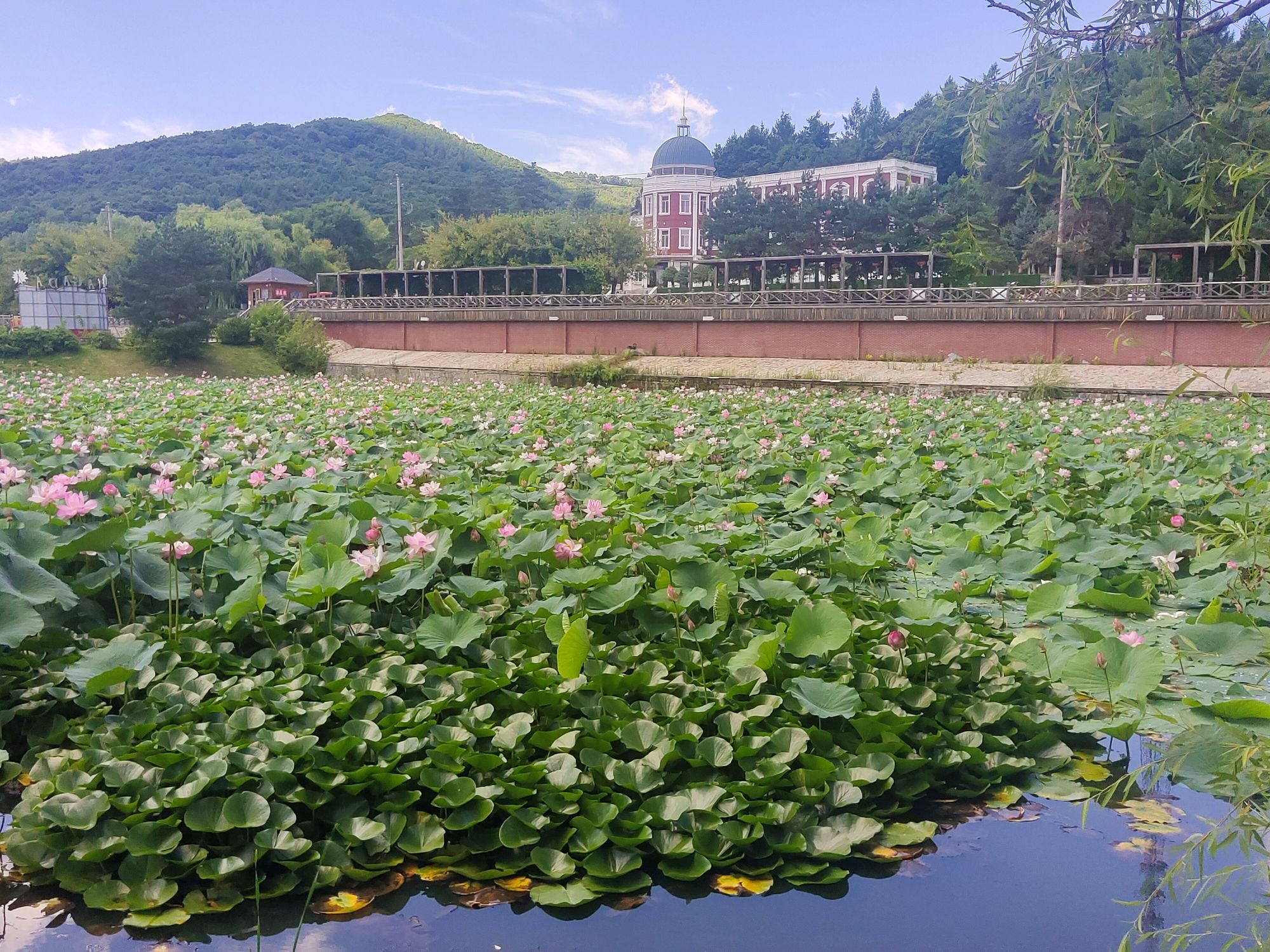 黑龙江青山国家森林公园旅行图片 3