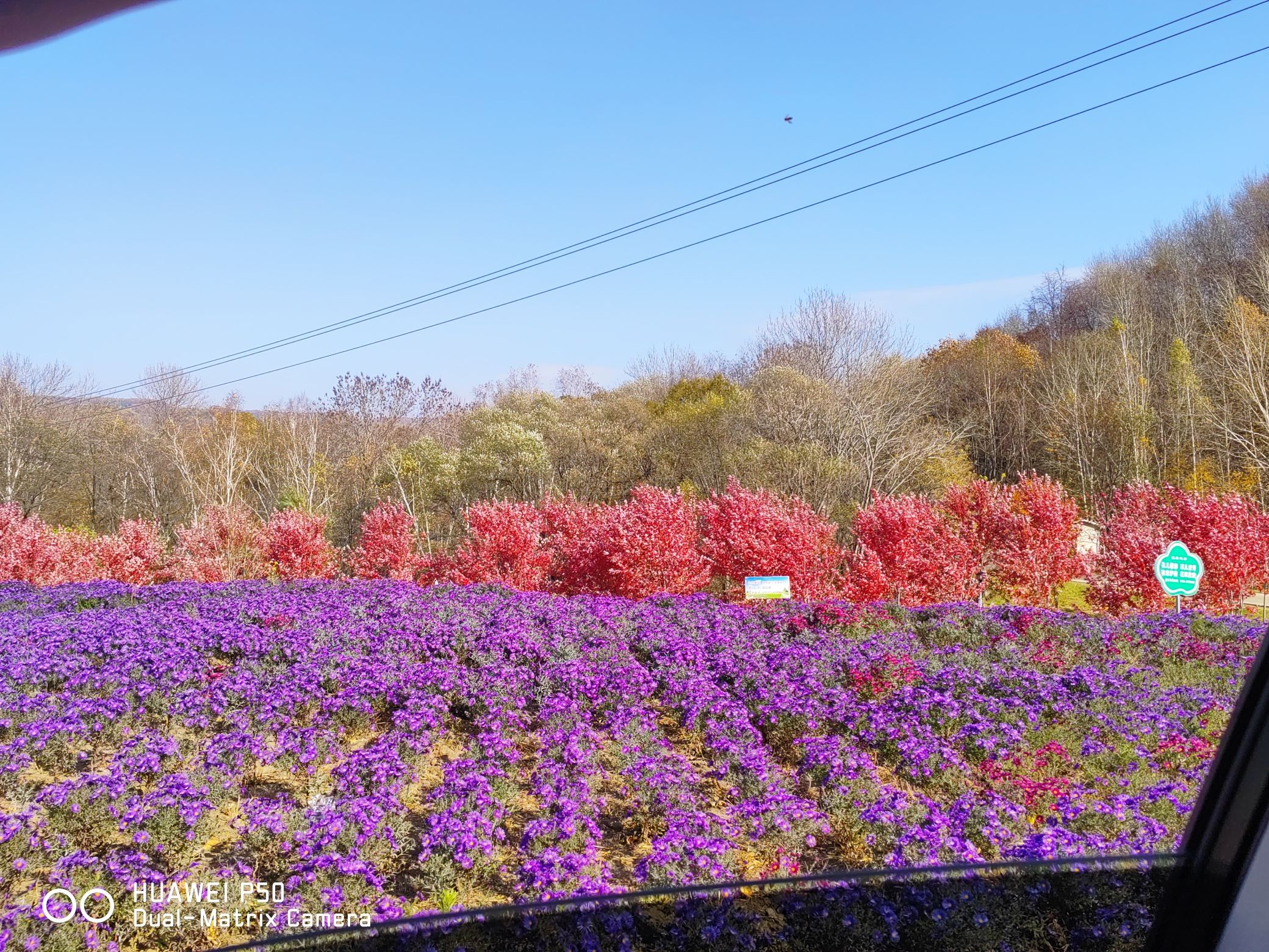 黑龙江青山国家森林公园旅行图片 2