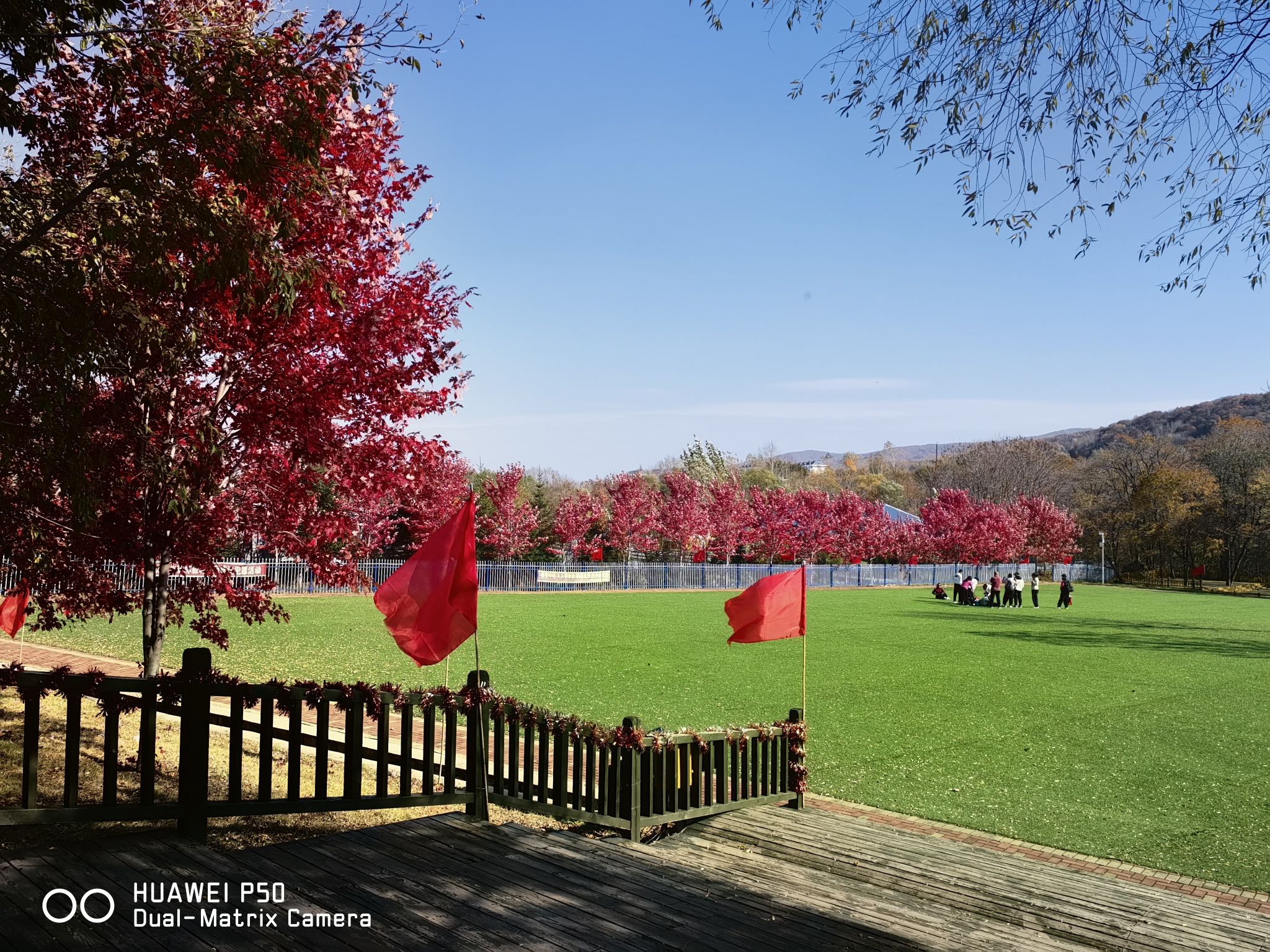 黑龙江青山国家森林公园旅行图片 1