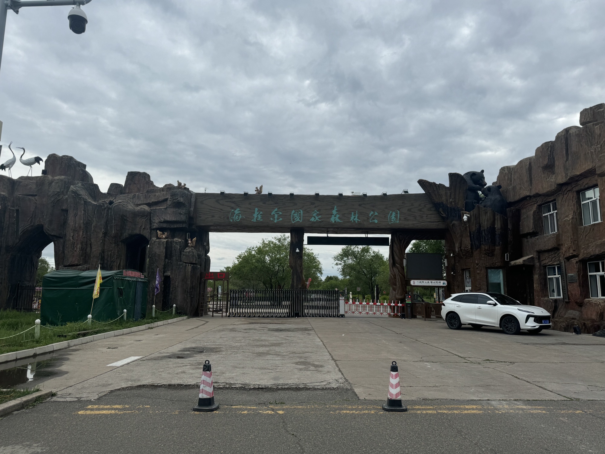 海拉尔国家森林公园旅行图片 2