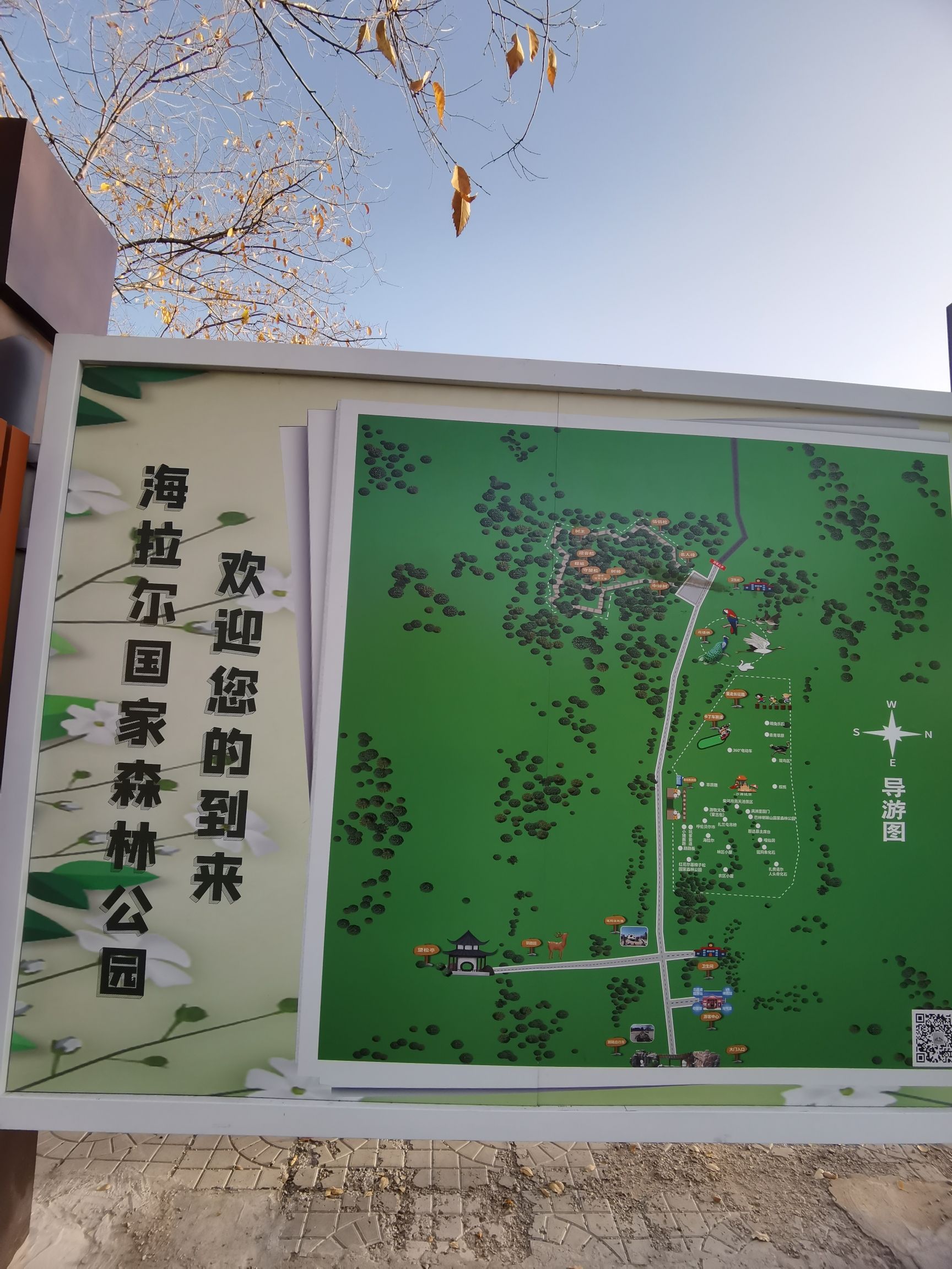 海拉尔国家森林公园旅行图片 1