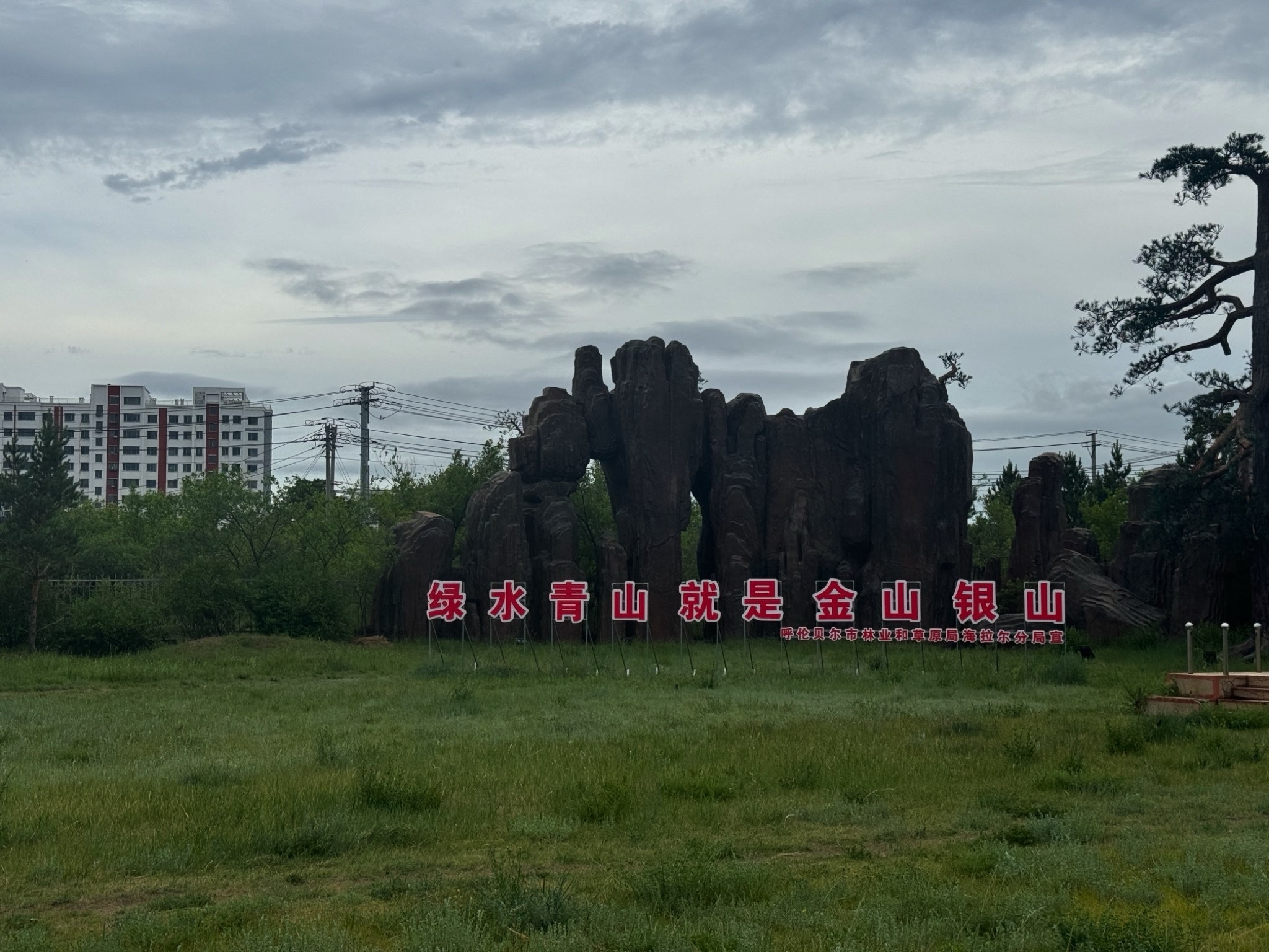 海拉尔国家森林公园旅行图片 1