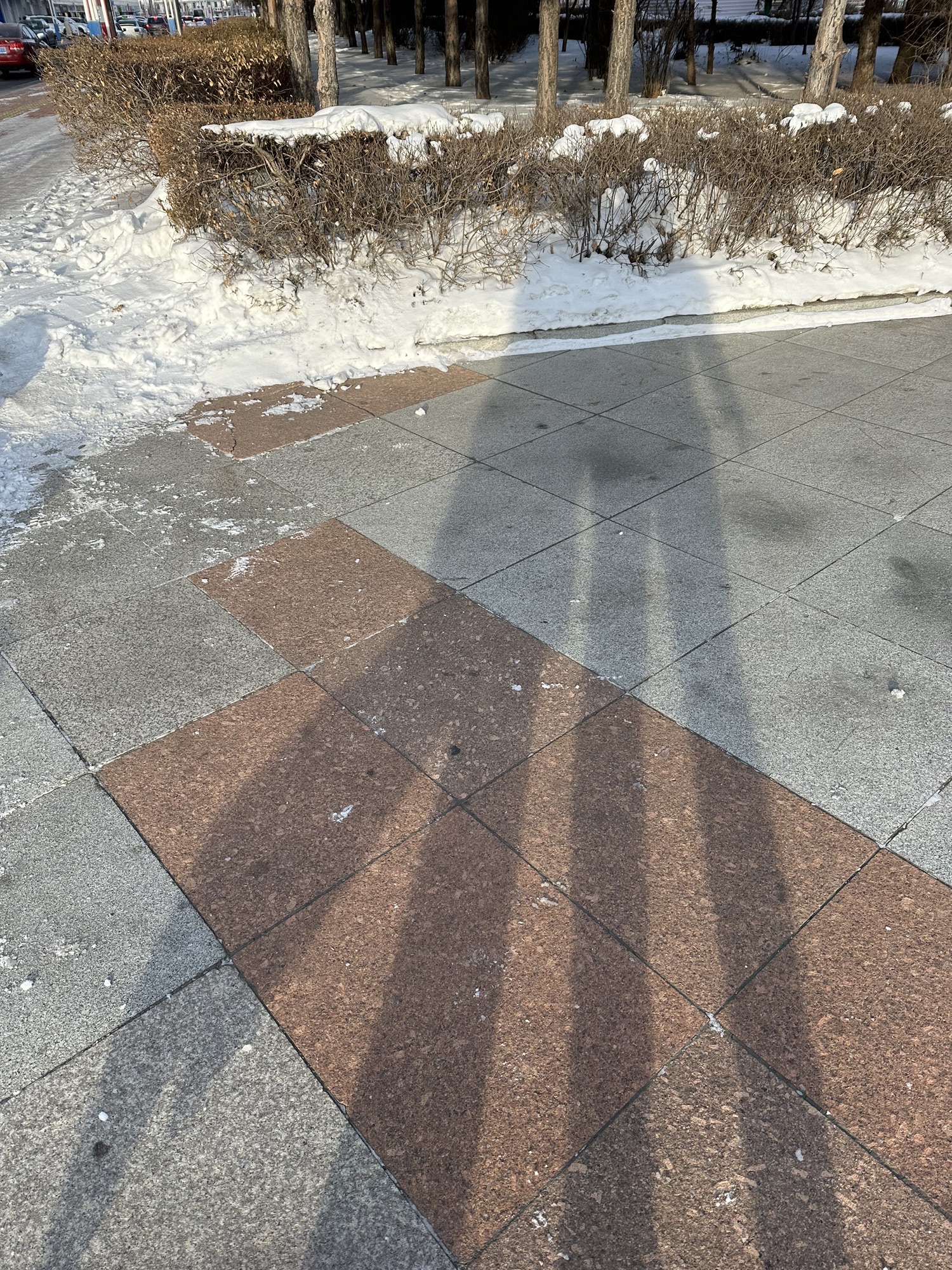 成吉思汗广场旅行图片 3