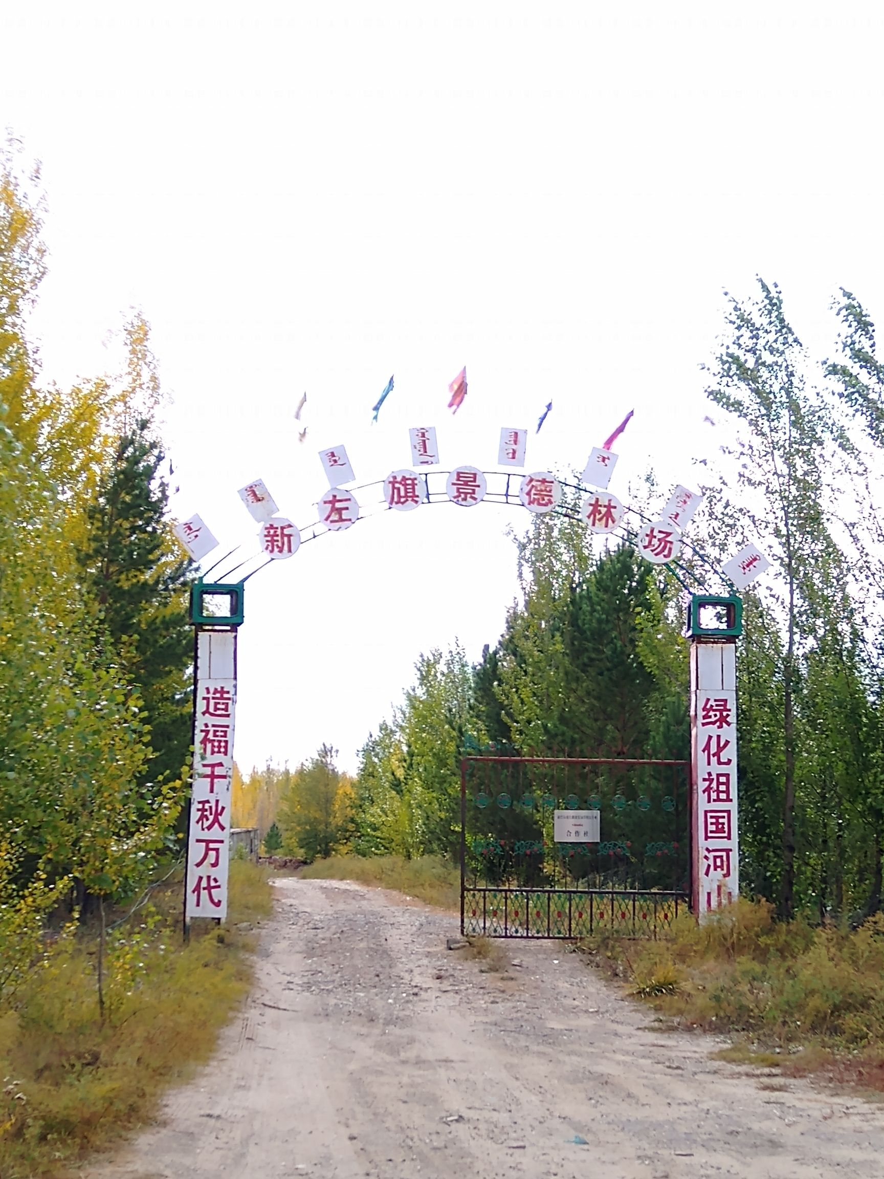 东旗景德林旅行图片 1