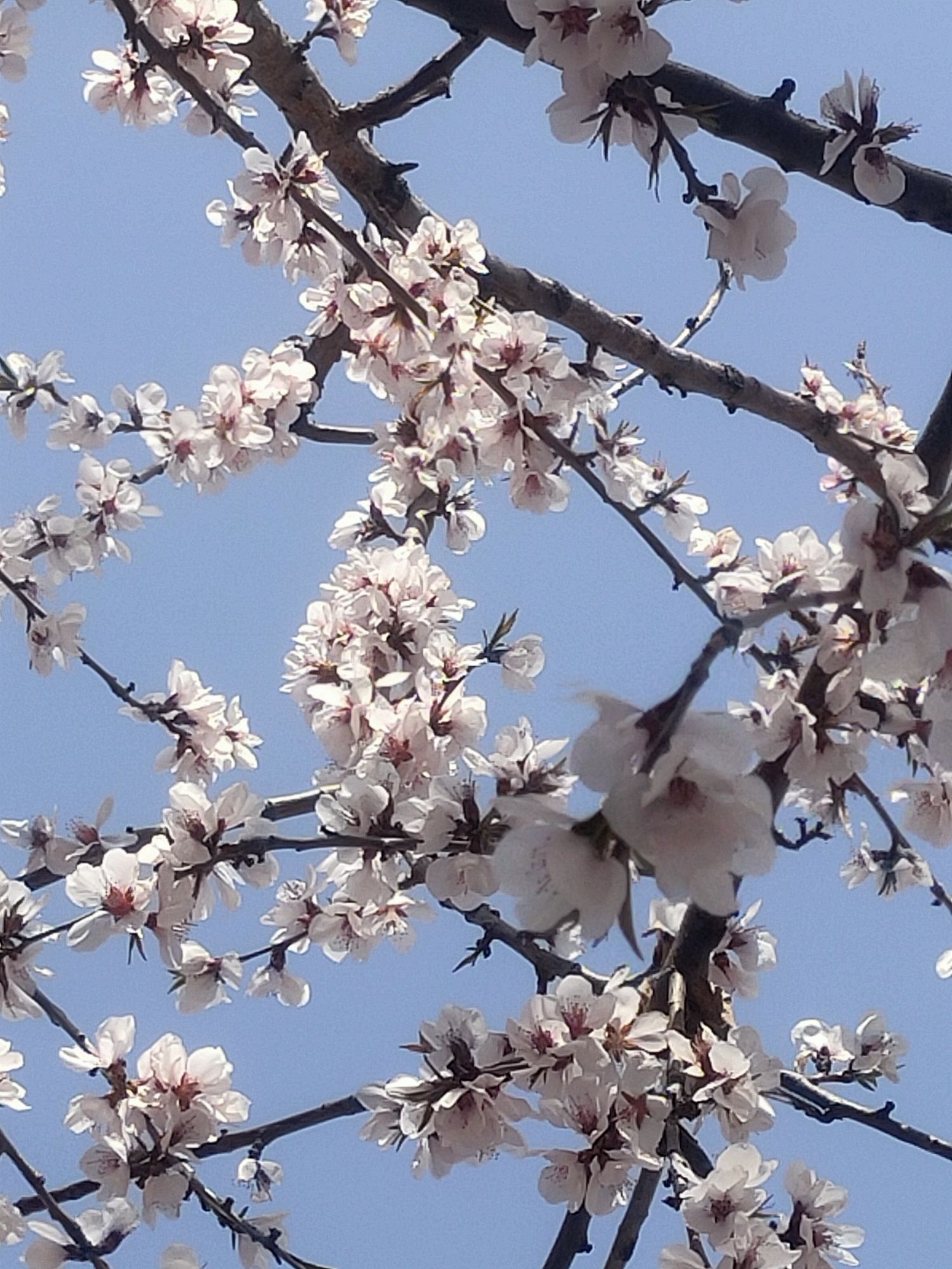 王杰广场旅行图片 2