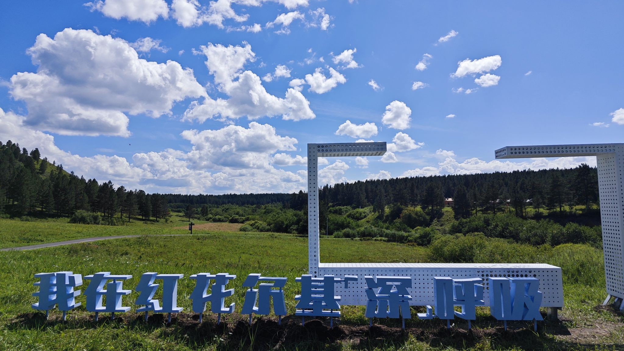 红花尔基樟子松国家森林公园