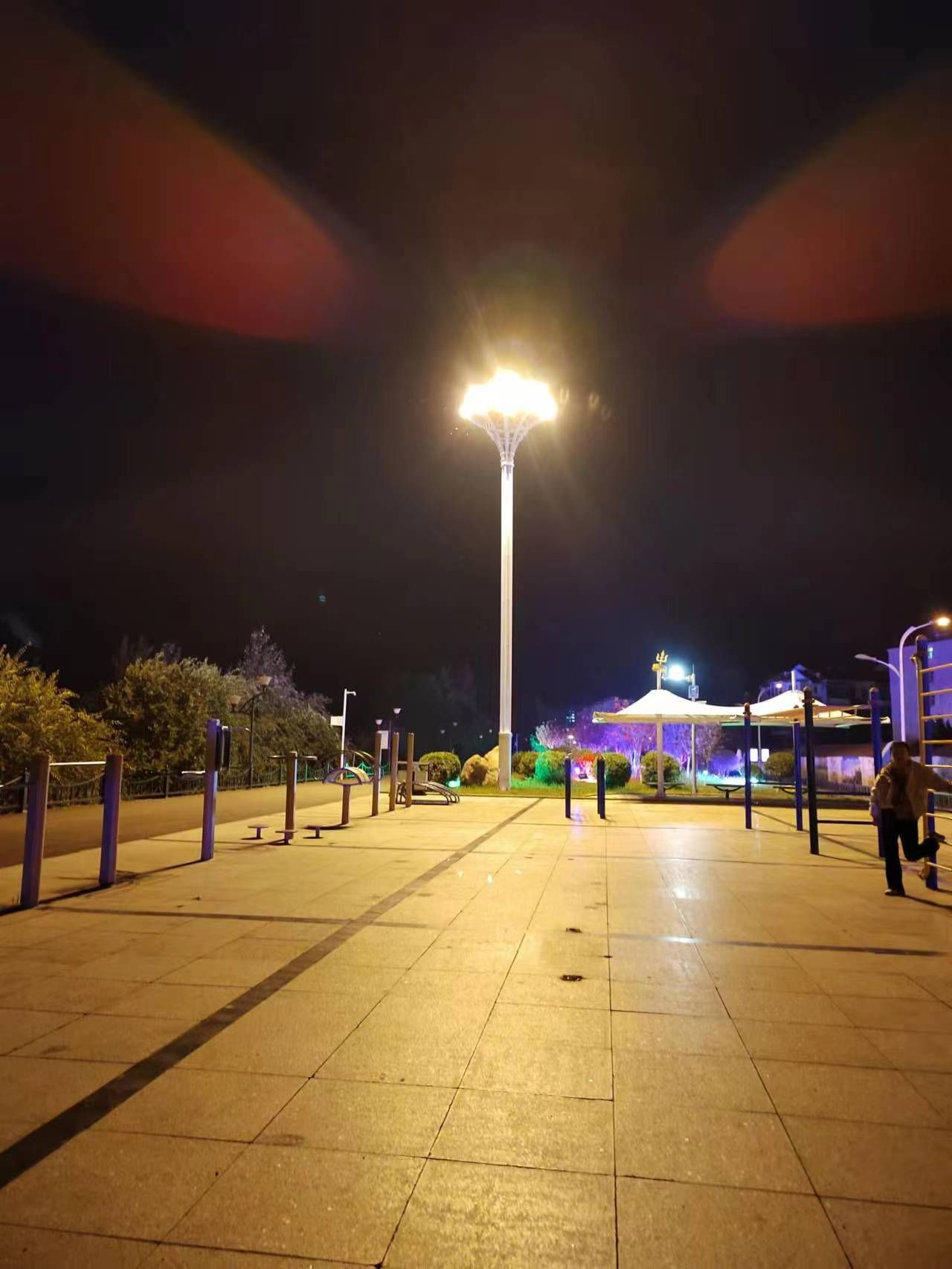 河心公园旅行图片 1