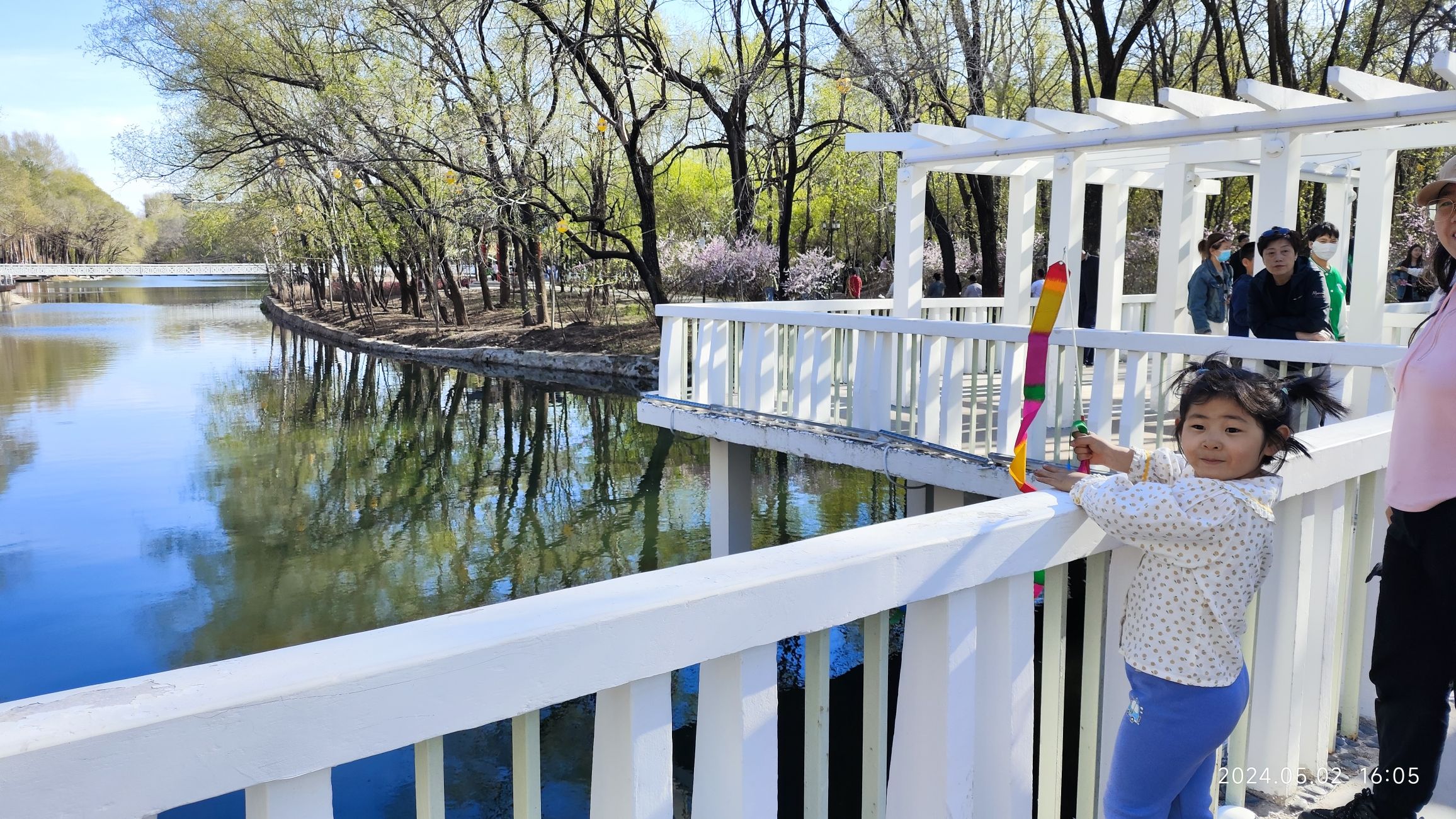 吊桥公园旅行图片 3