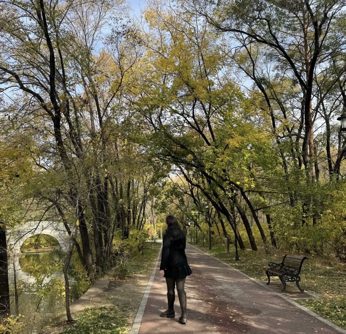 吊桥公园旅行图片 2