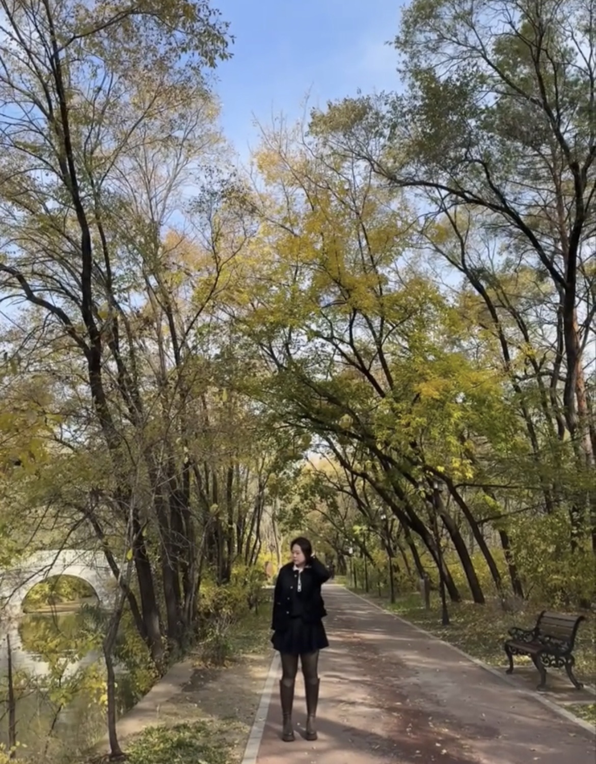 吊桥公园旅行图片 3