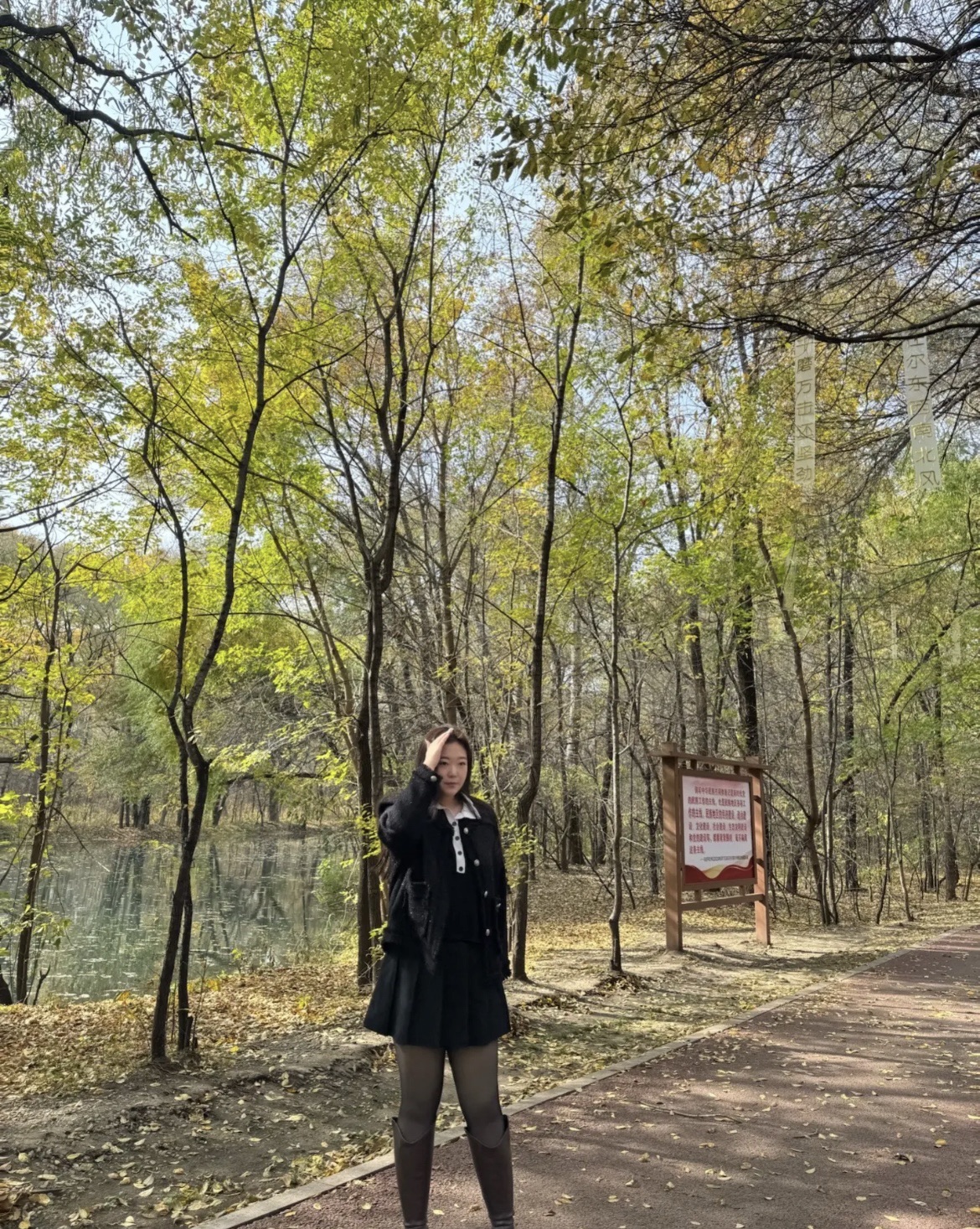 吊桥公园旅行图片 1