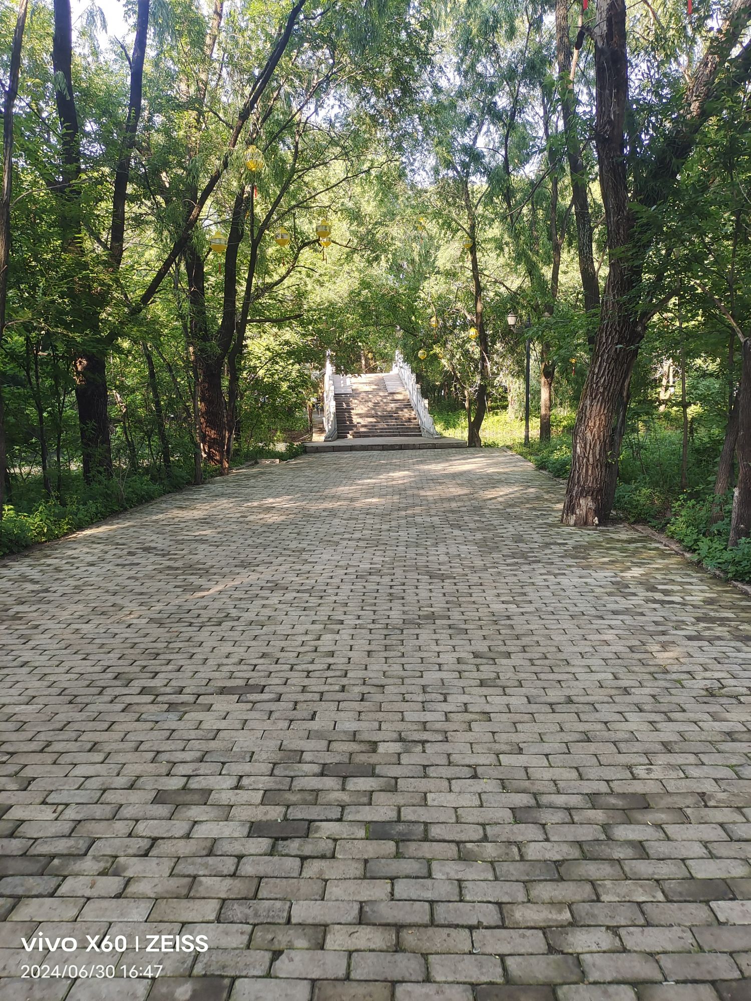吊桥公园旅行图片 2
