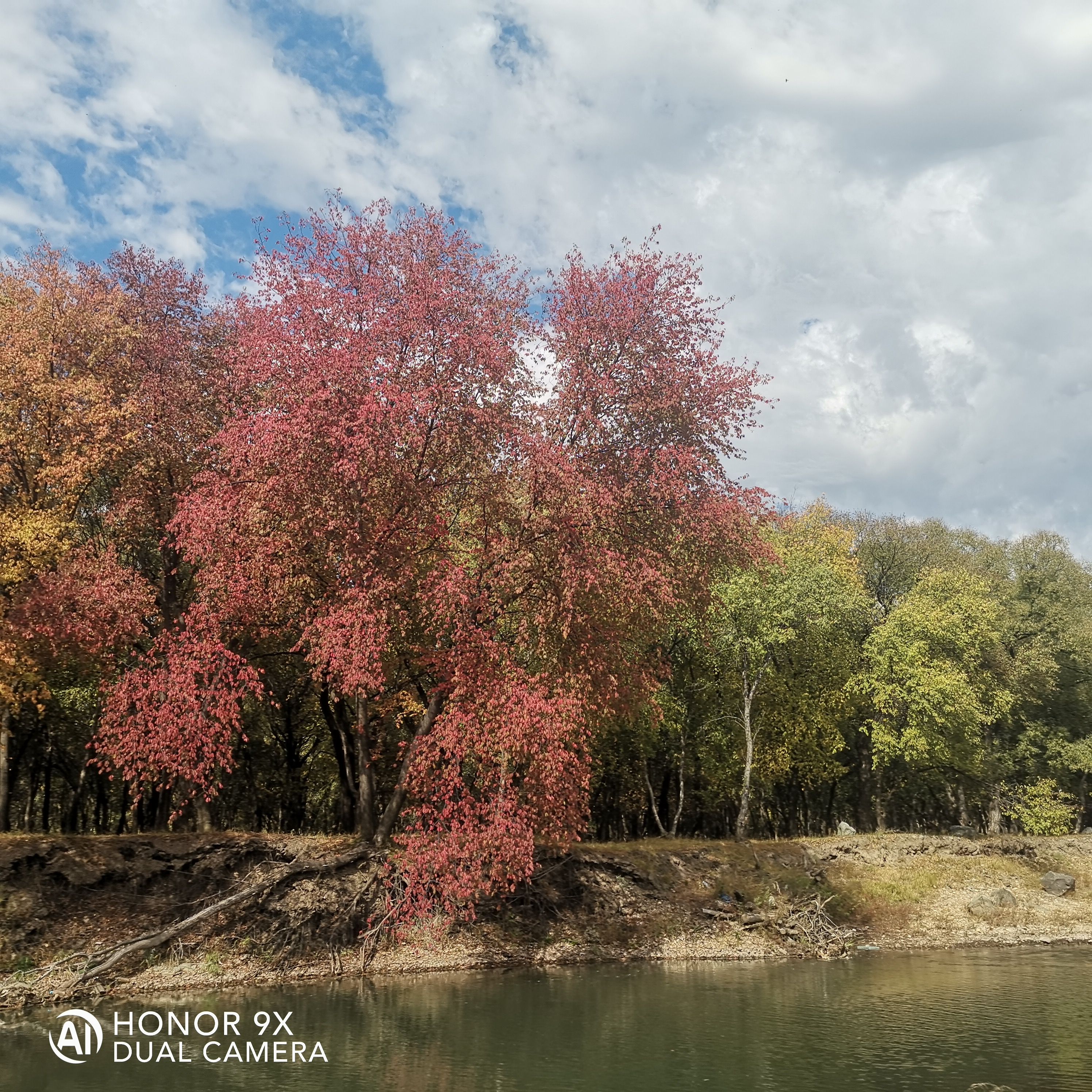 秀水山庄旅行图片 3