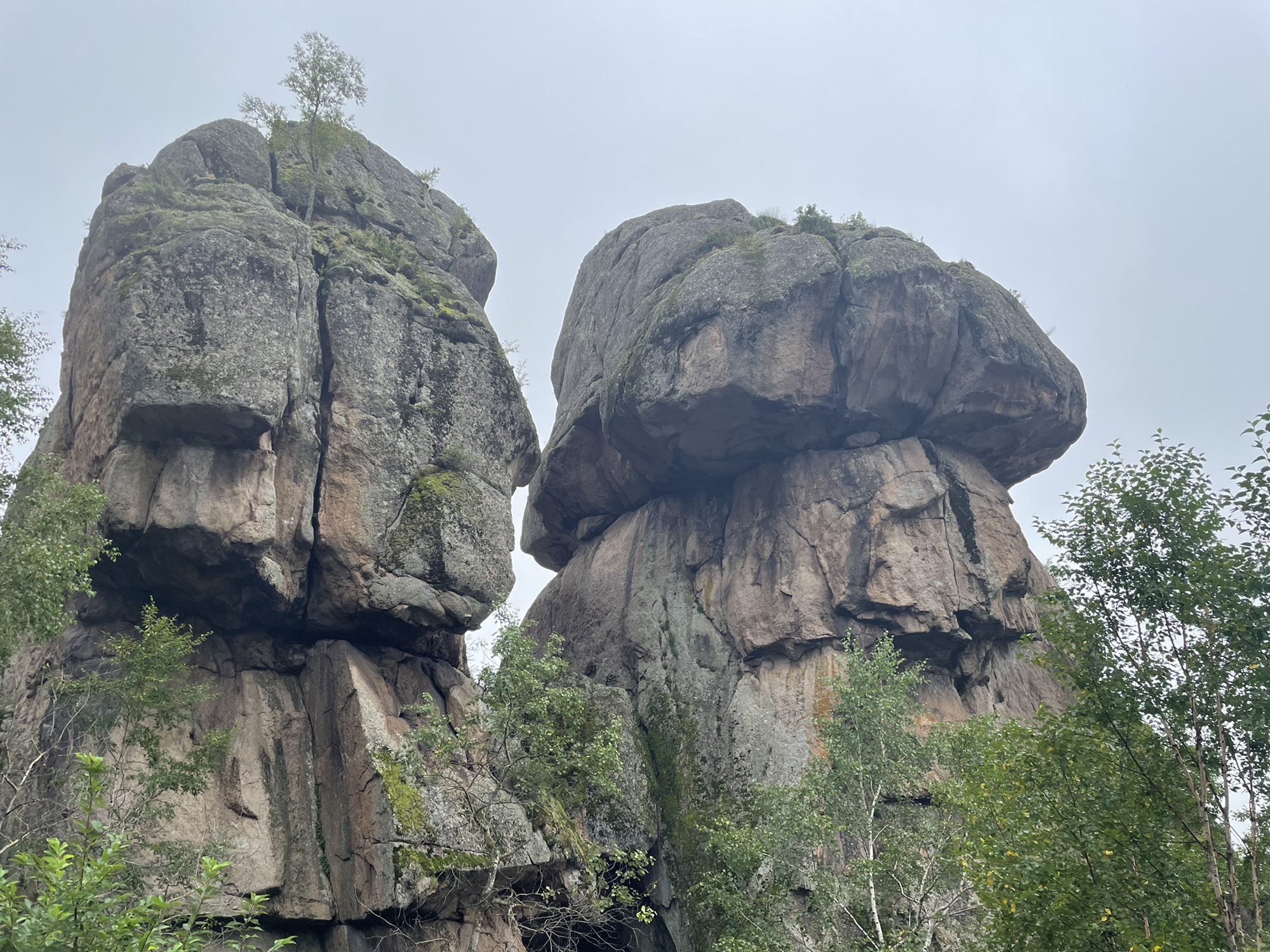 喇嘛山国家森林公园旅行图片 2