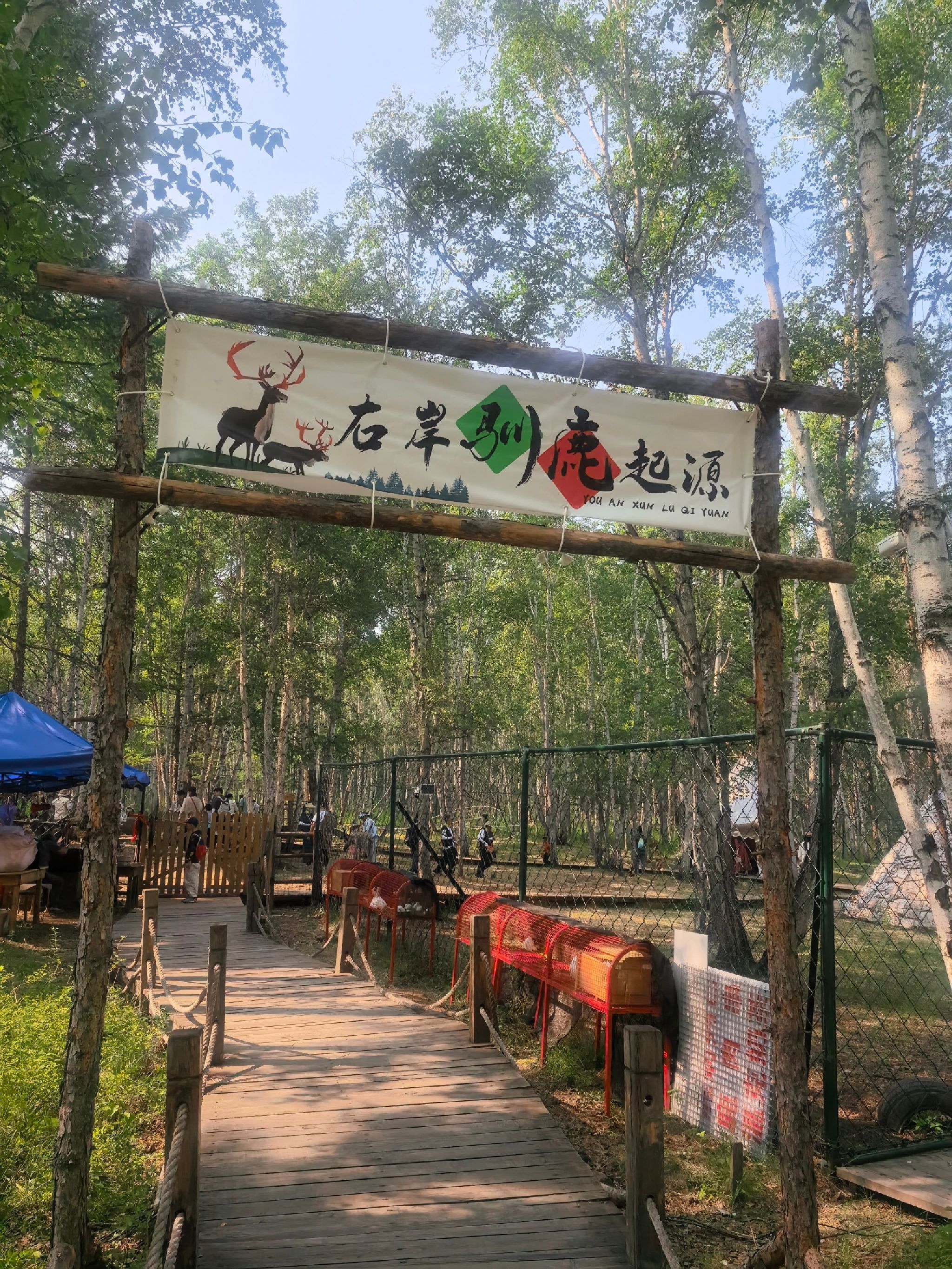 哈乌尔河景区(暂停开放)旅行图片 1
