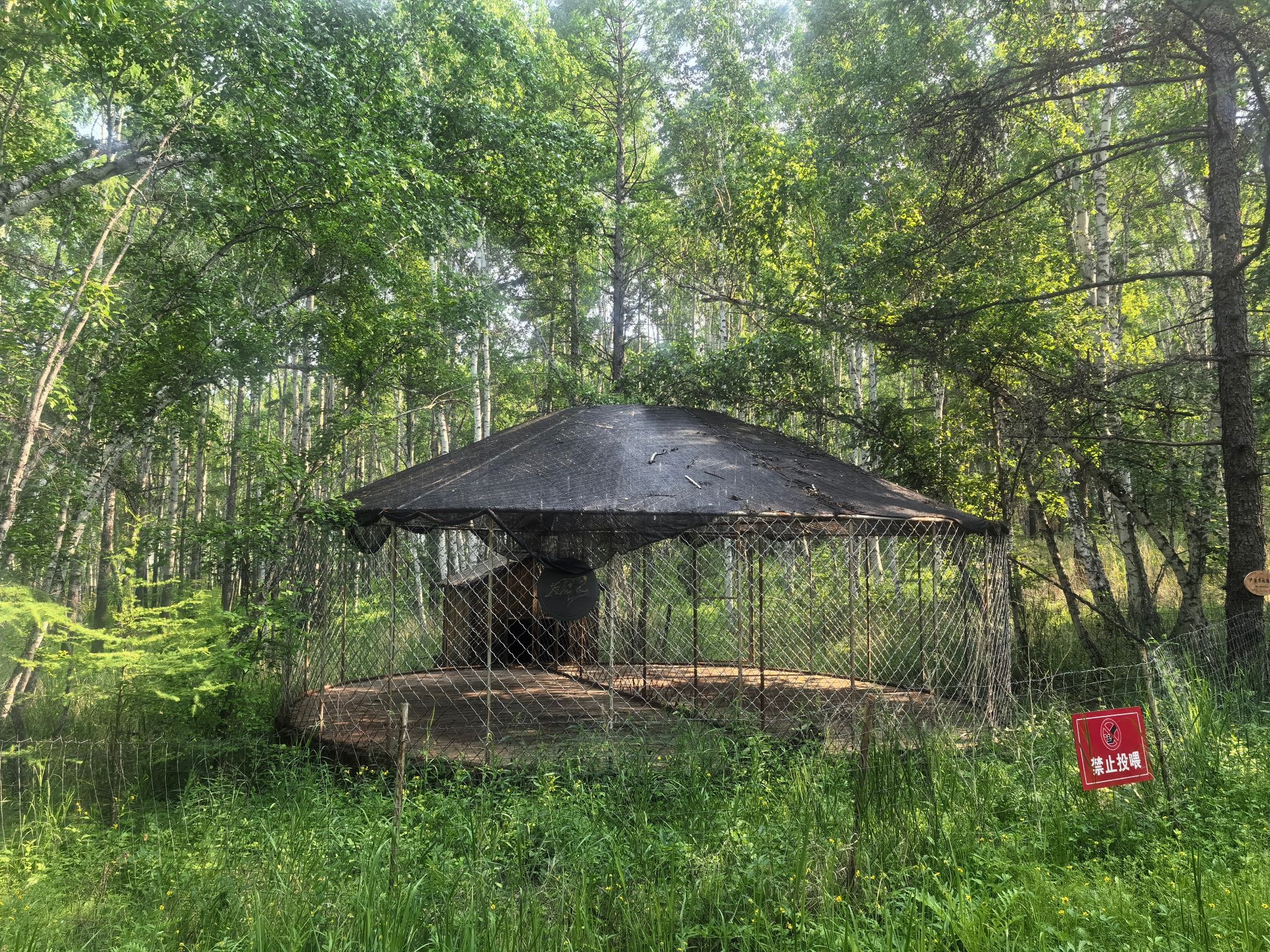 哈乌尔河景区(暂停开放)旅行图片 3