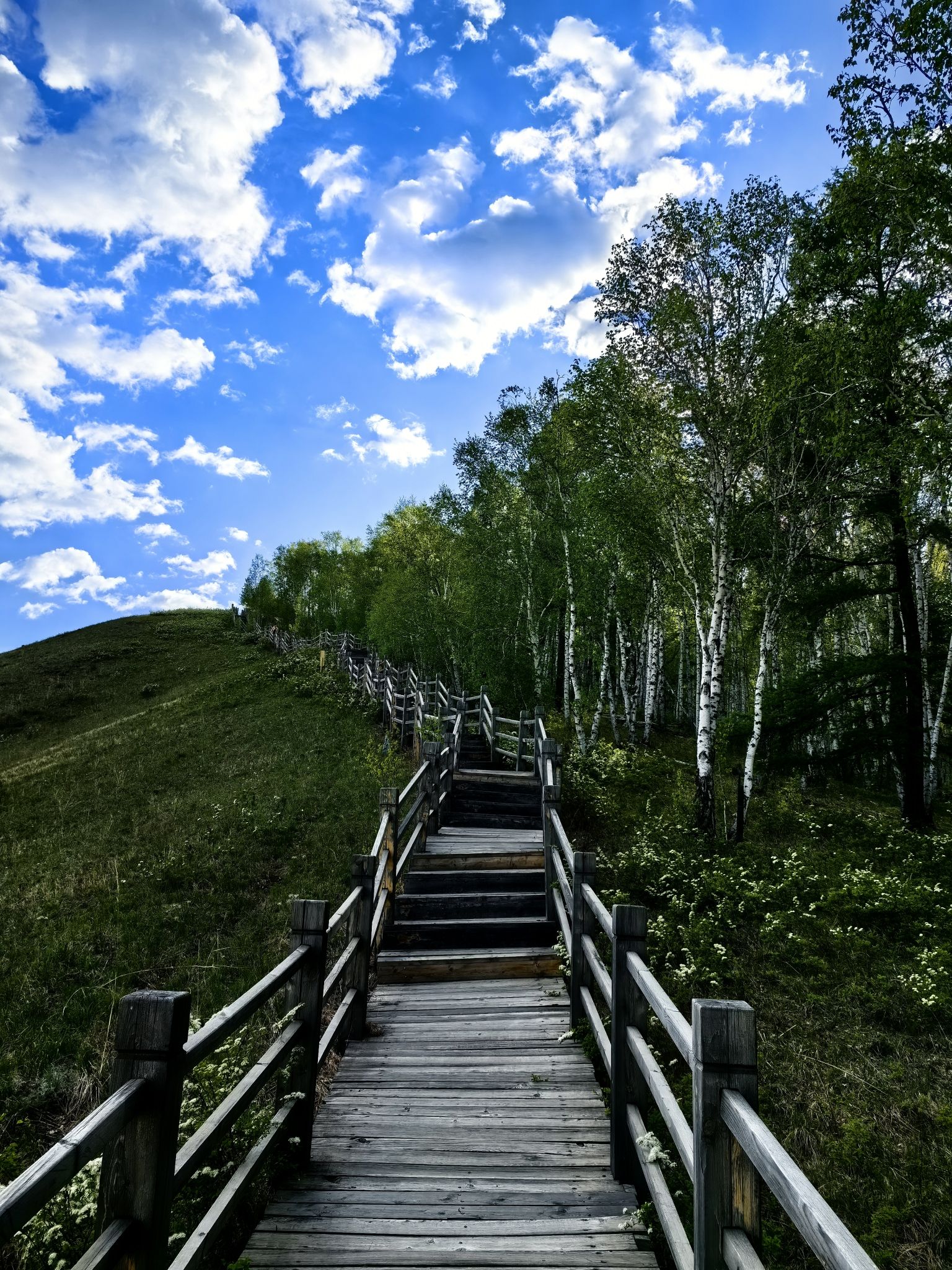 哈乌尔河景区(暂停开放)旅行图片 3
